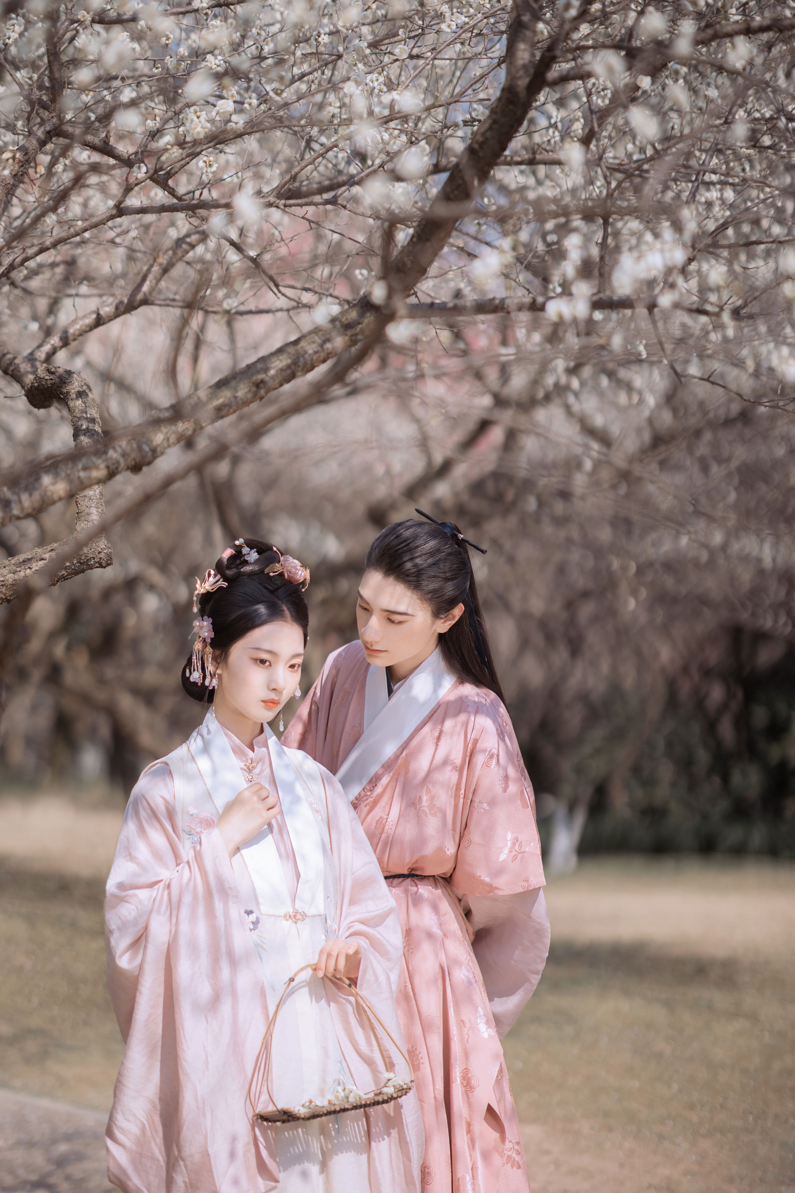 折梅赠君