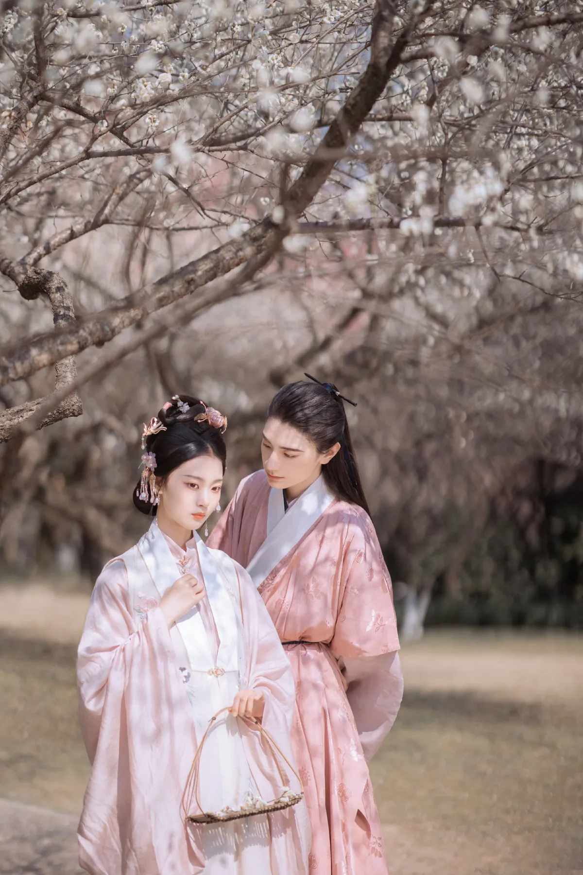 折梅赠君