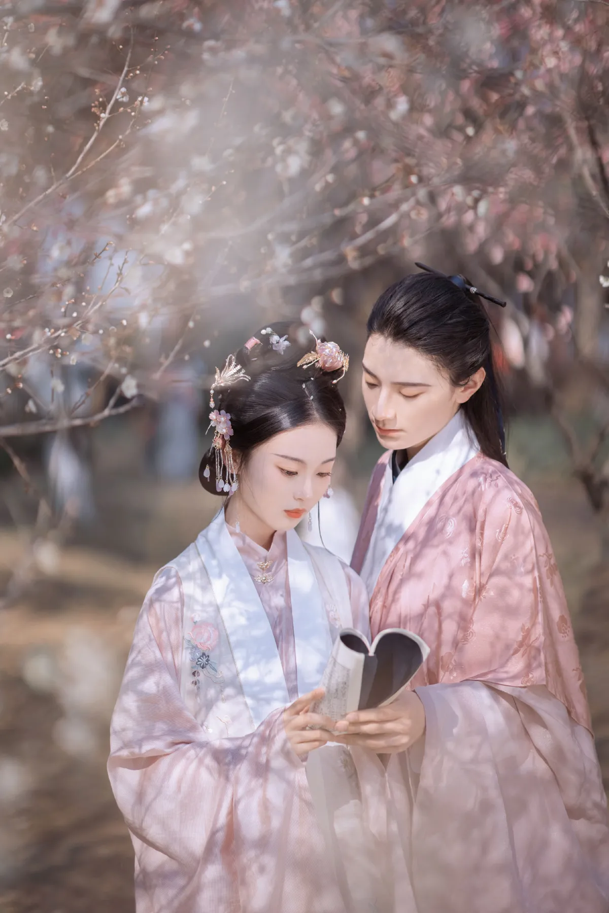 折梅赠君