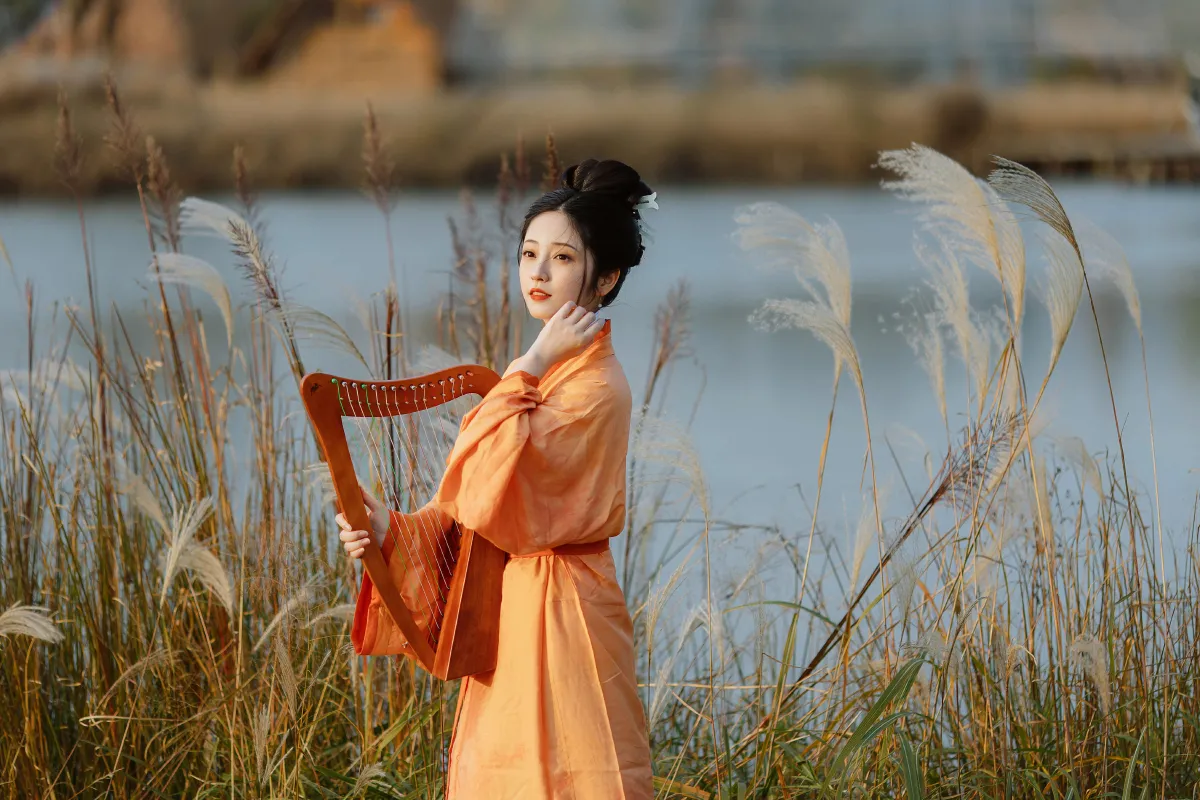刘兰芝