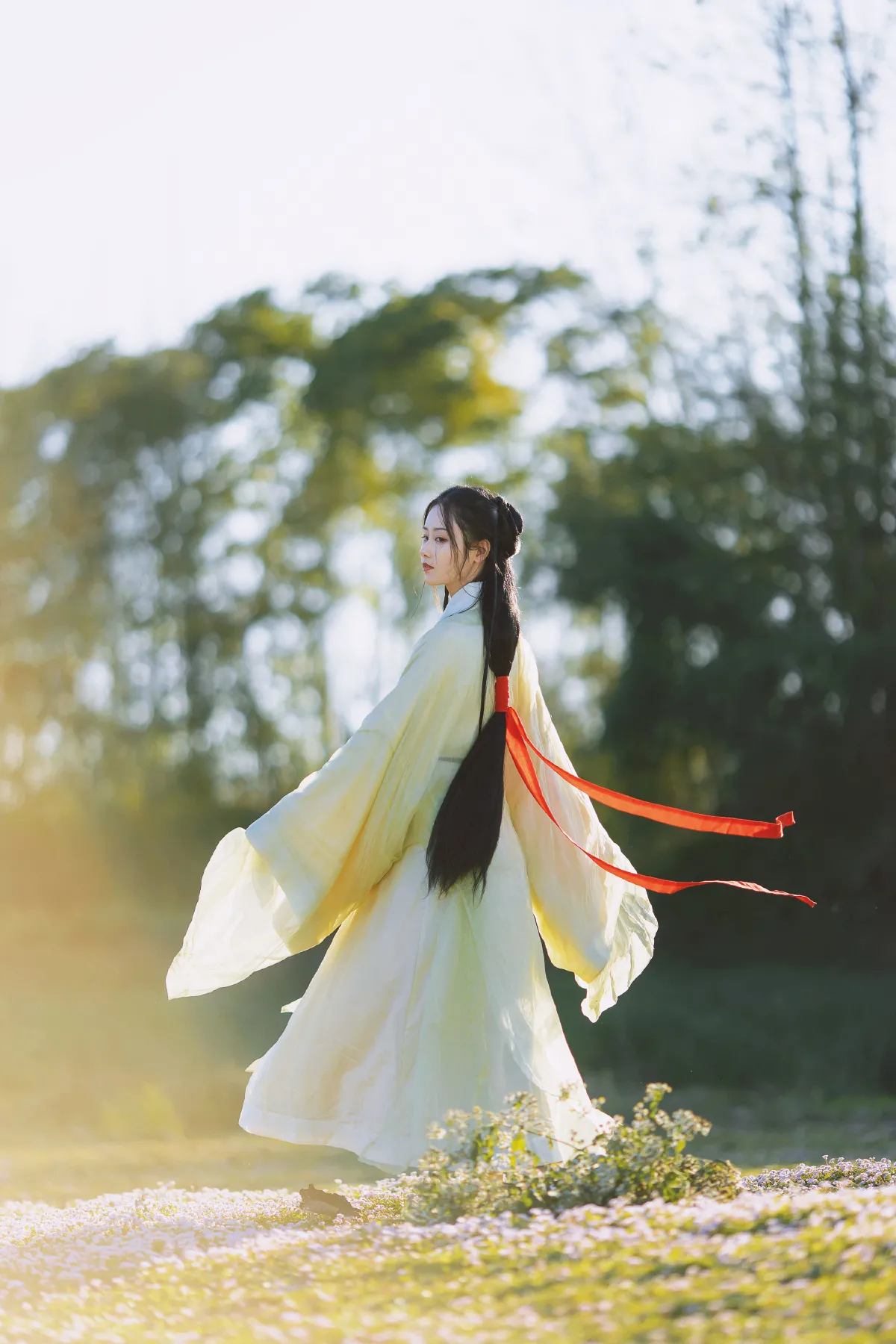 思君归