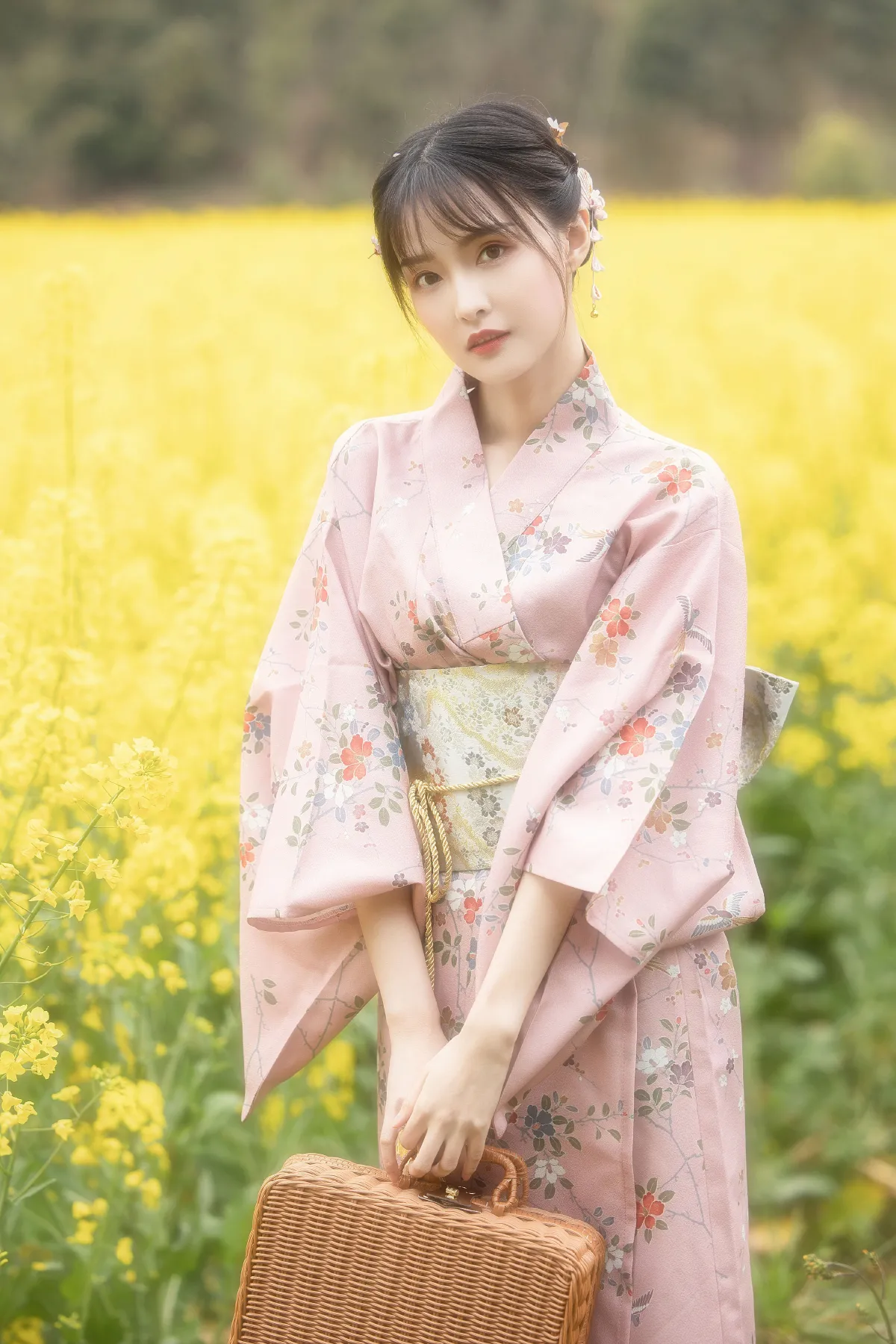 油菜花1