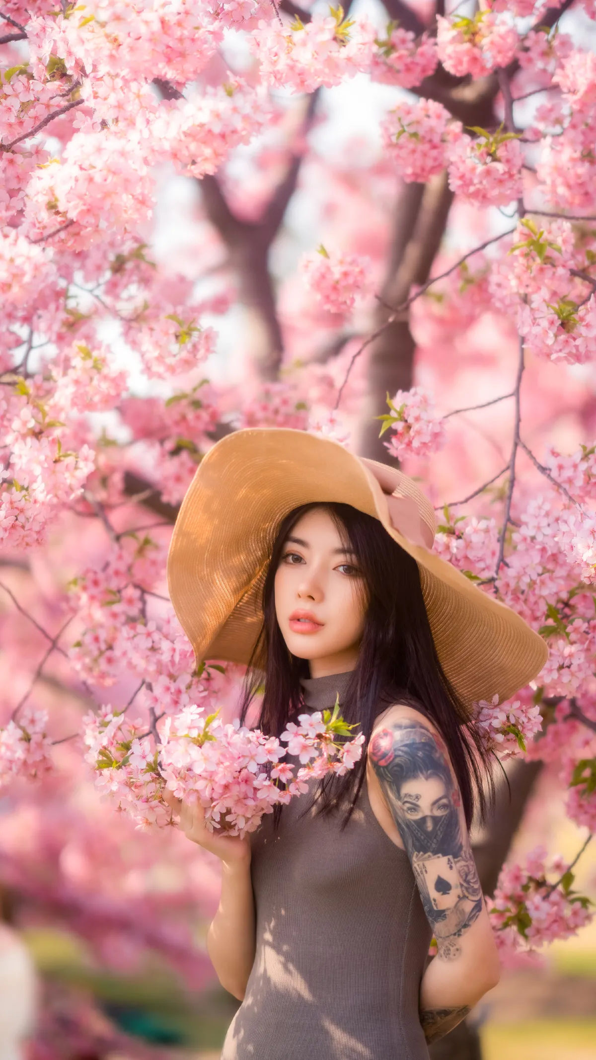 早樱绚烂1