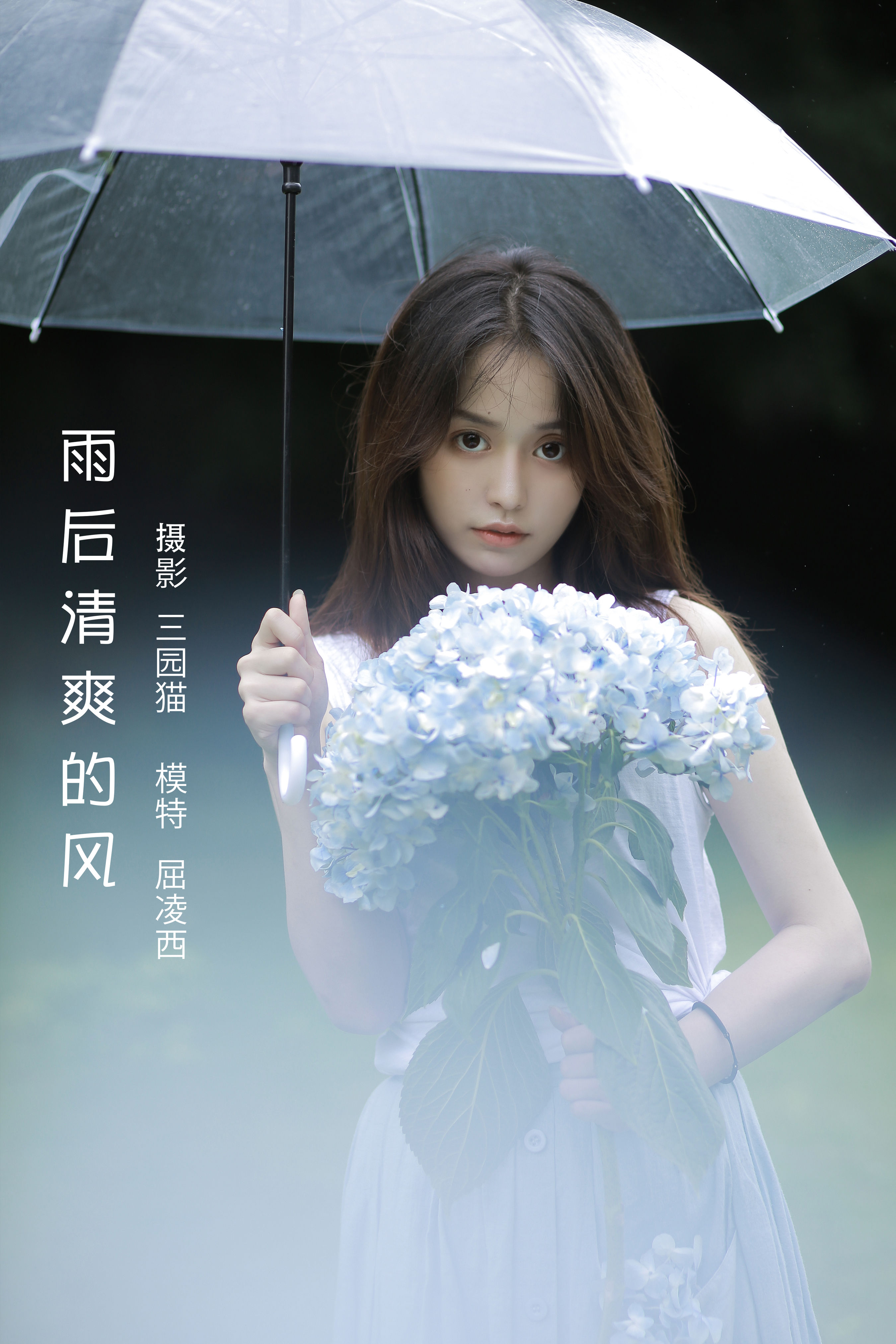 三园猫_屈凌西《雨后清爽的风》美图作品图片1