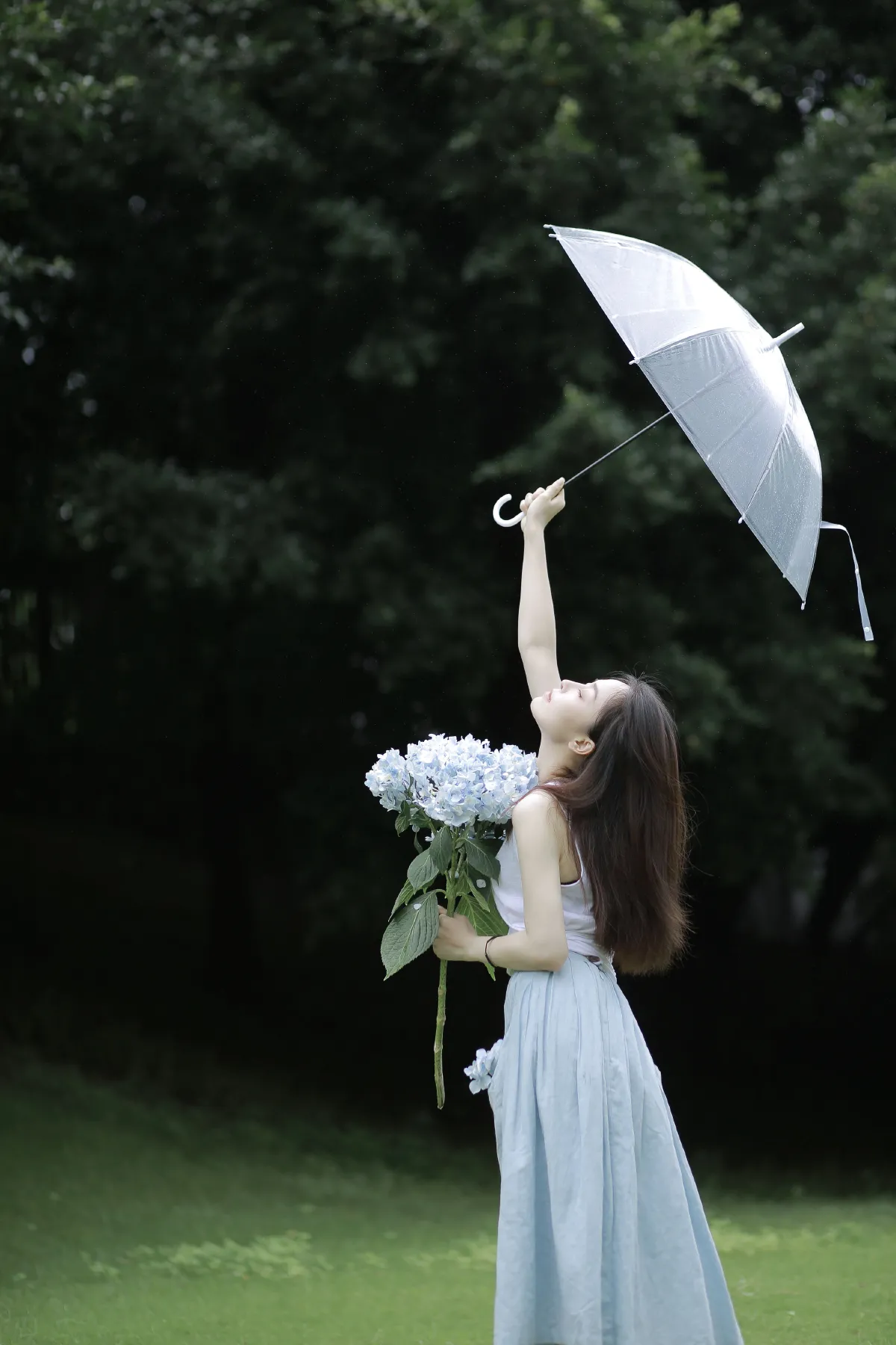 雨后清爽的风2