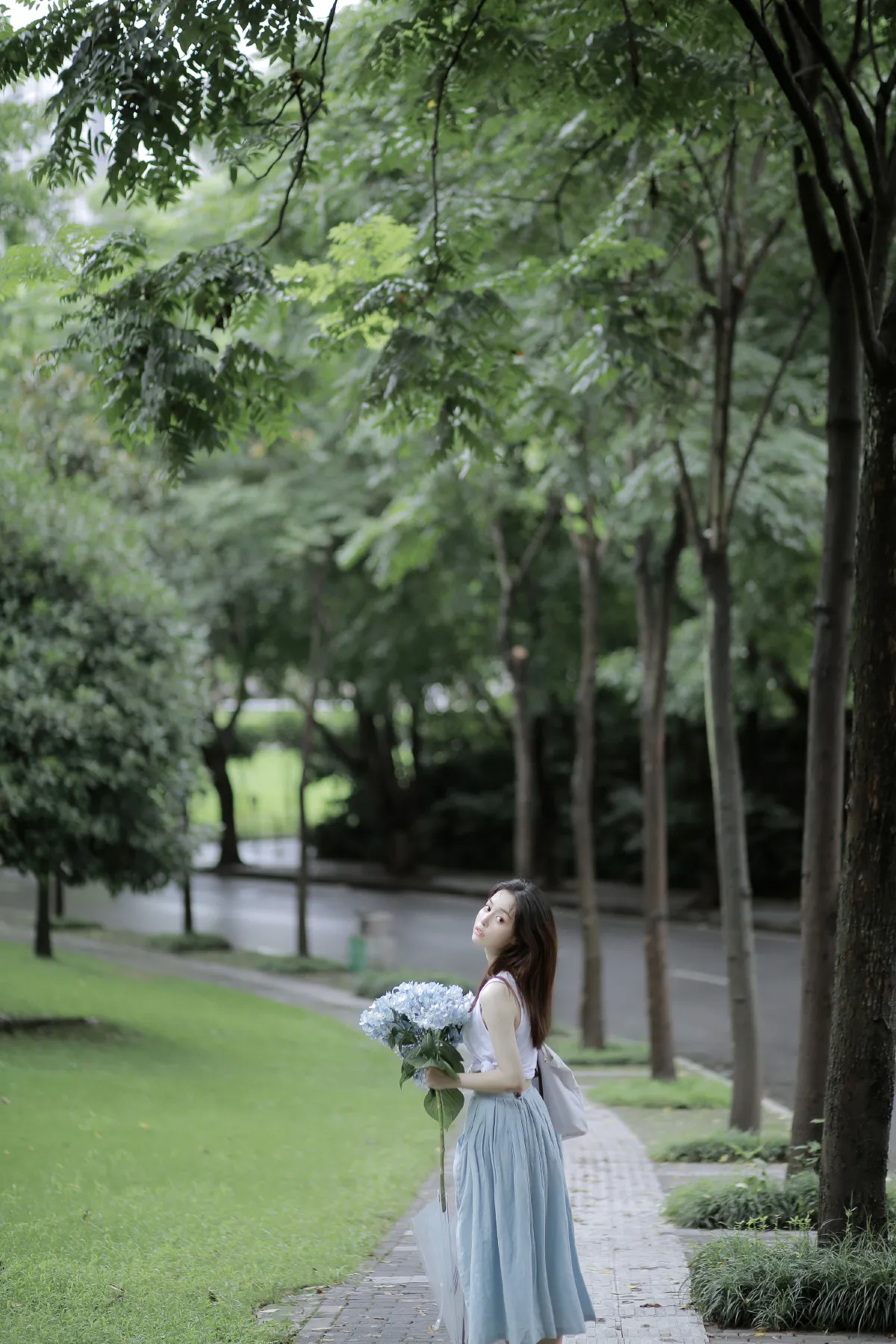 雨后清爽的风