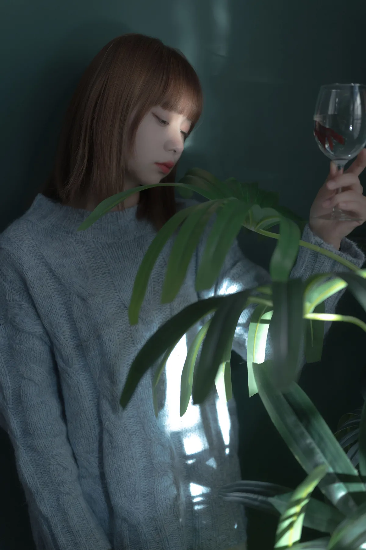 斗鱼1
