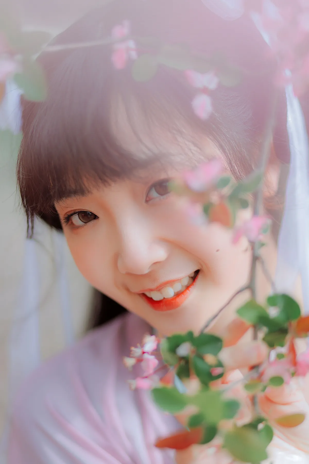 虞美人1