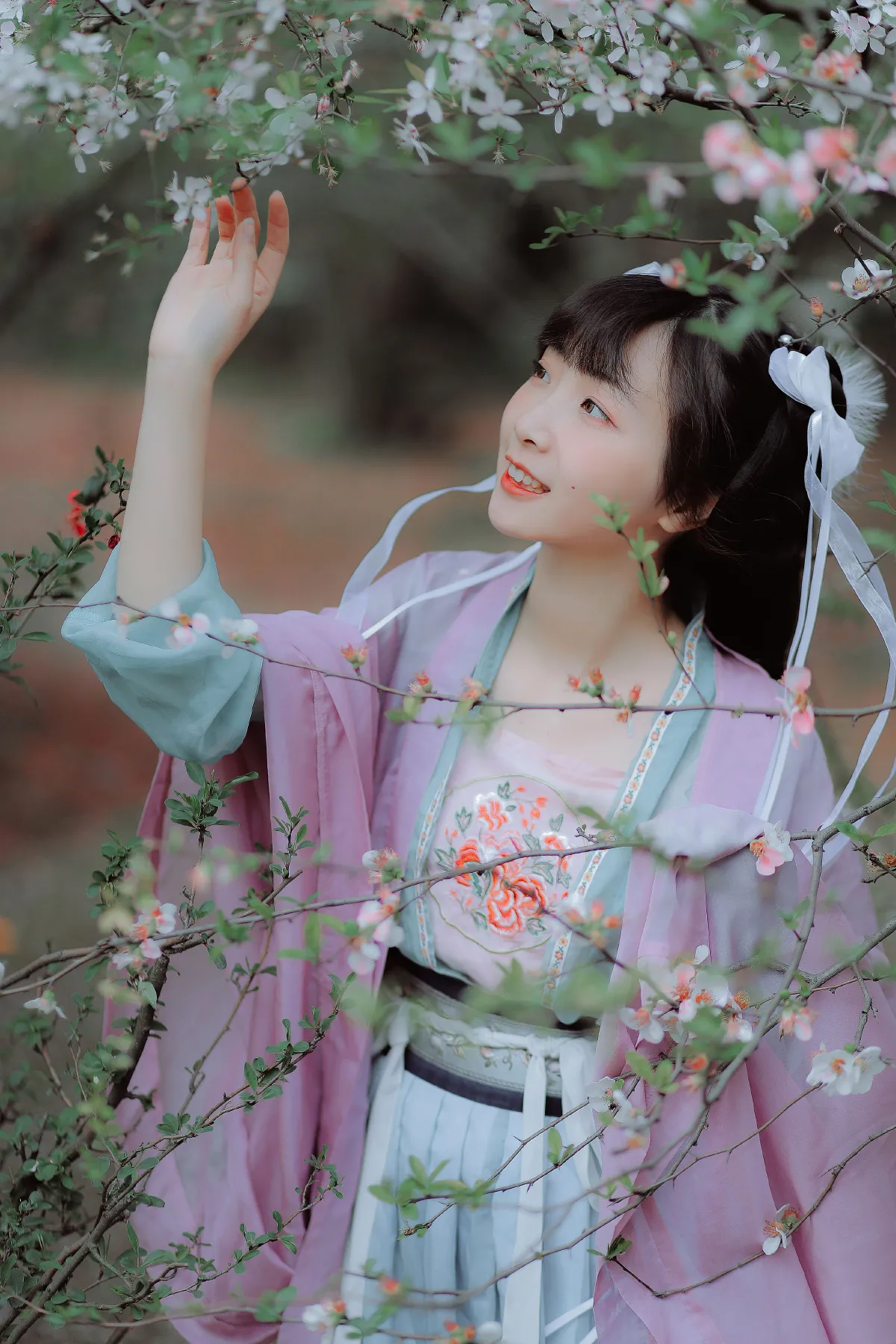 虞美人3