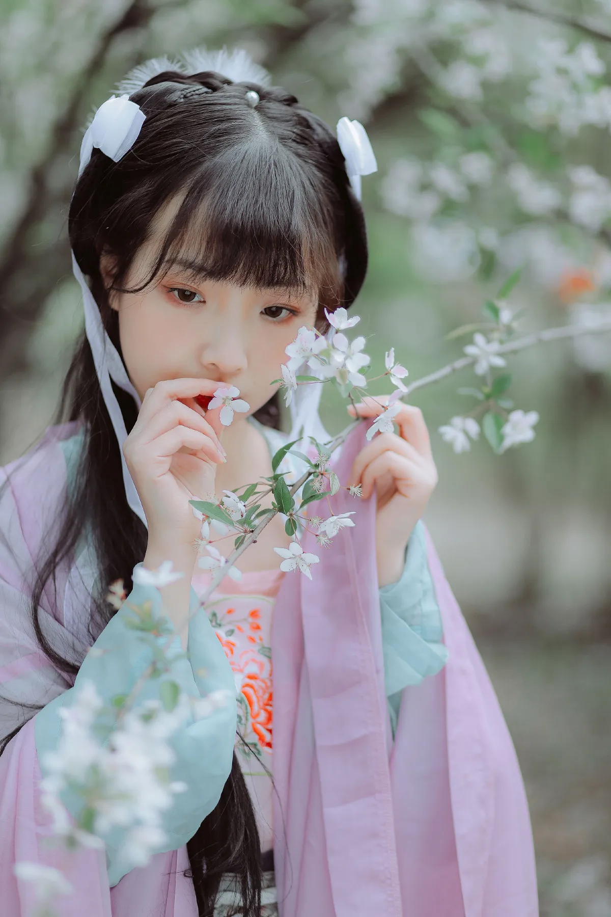 虞美人