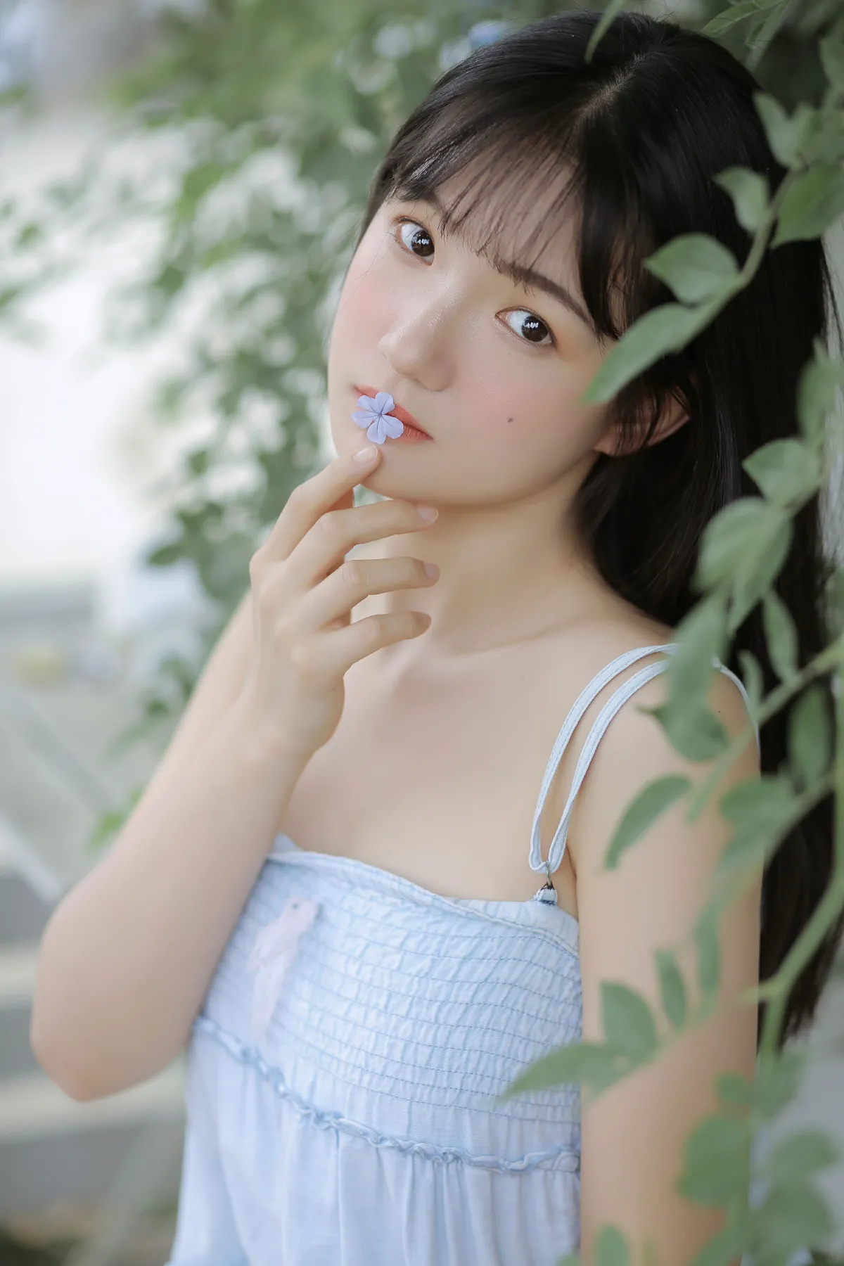 院子里的夏天