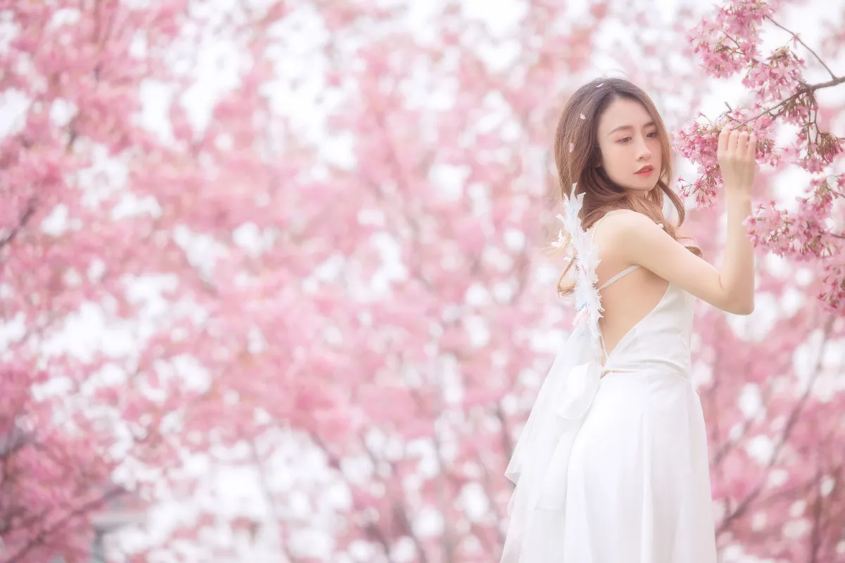 樱花2