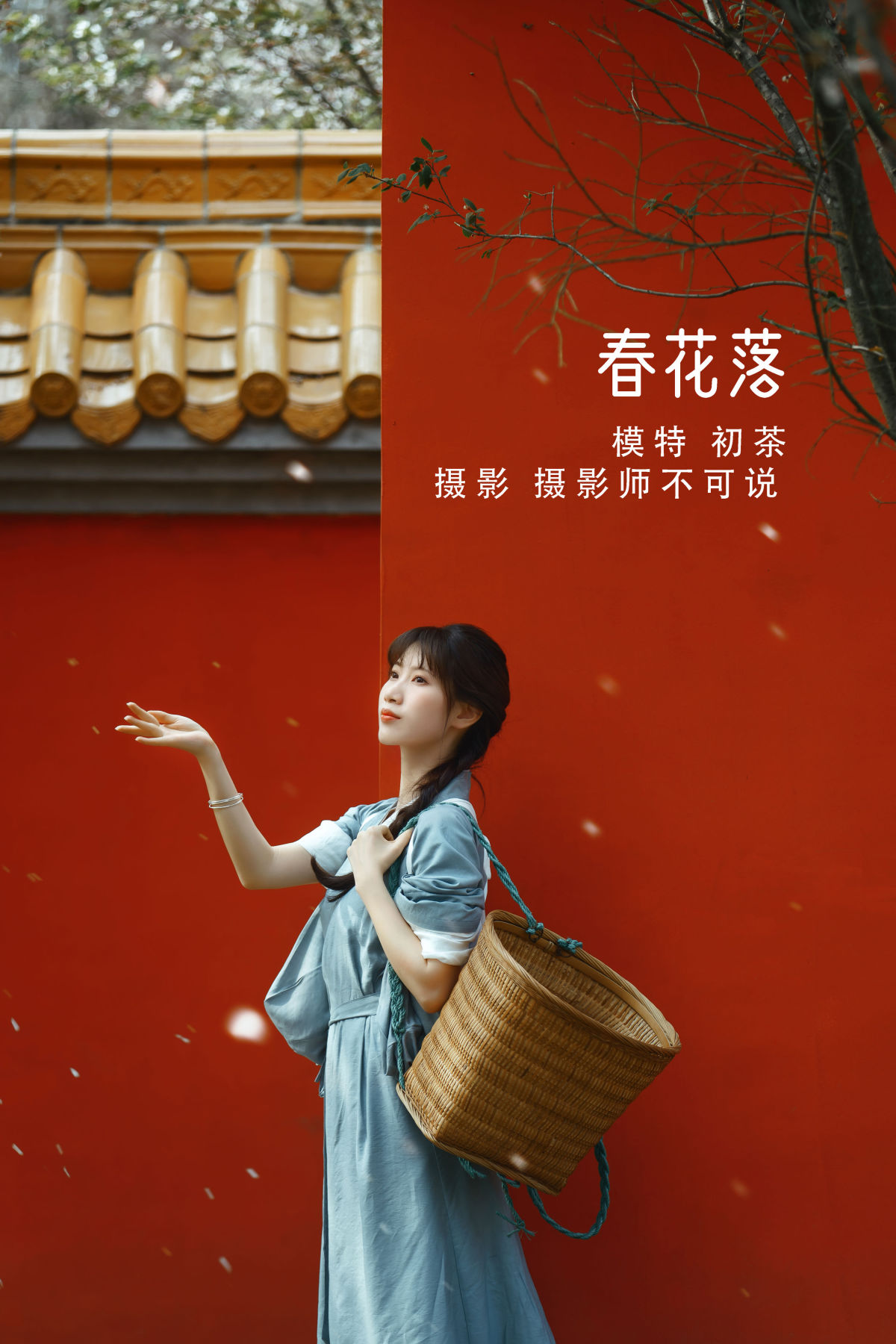 摄影师不可说_初茶《春花落》美图作品图片1