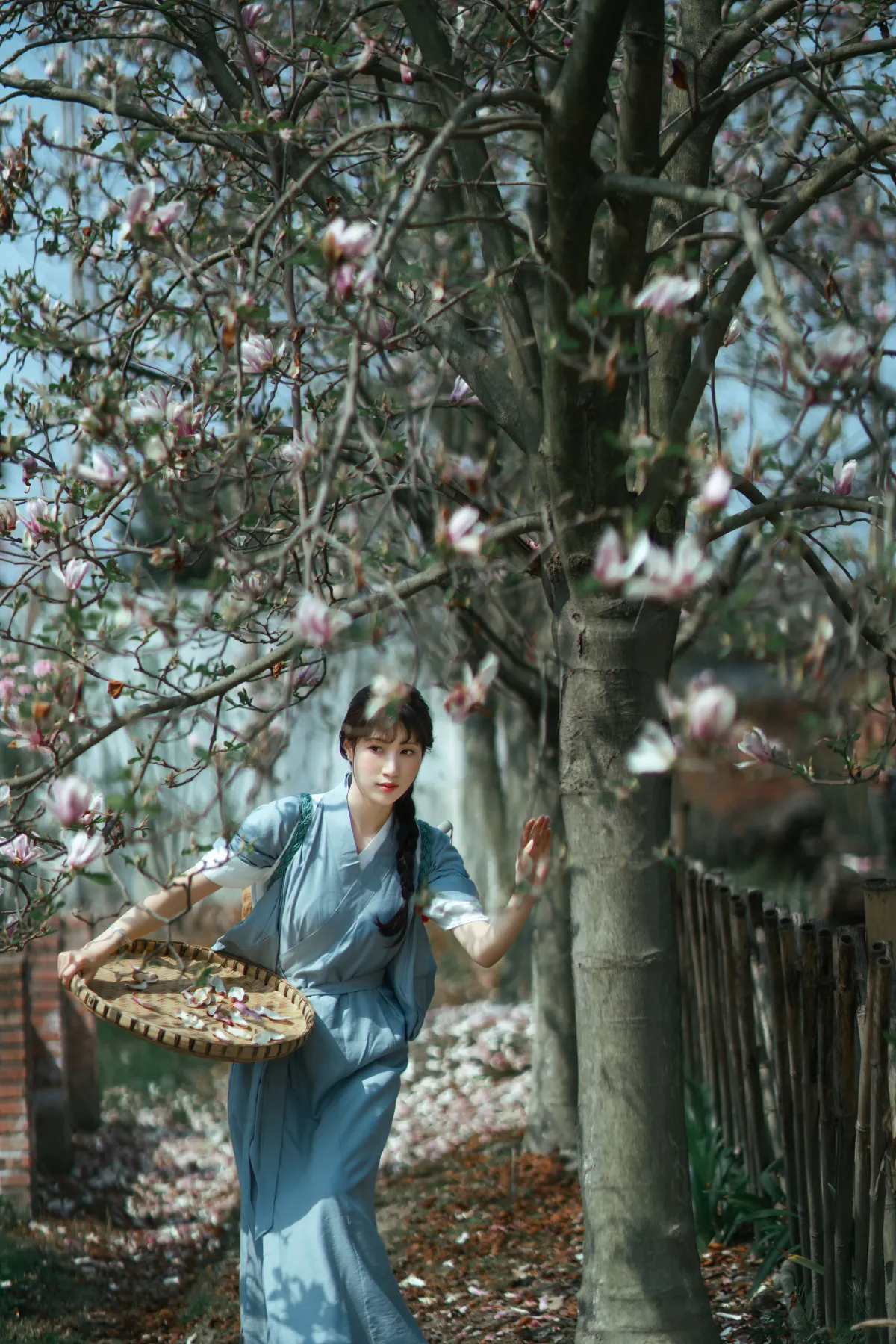 春花落3