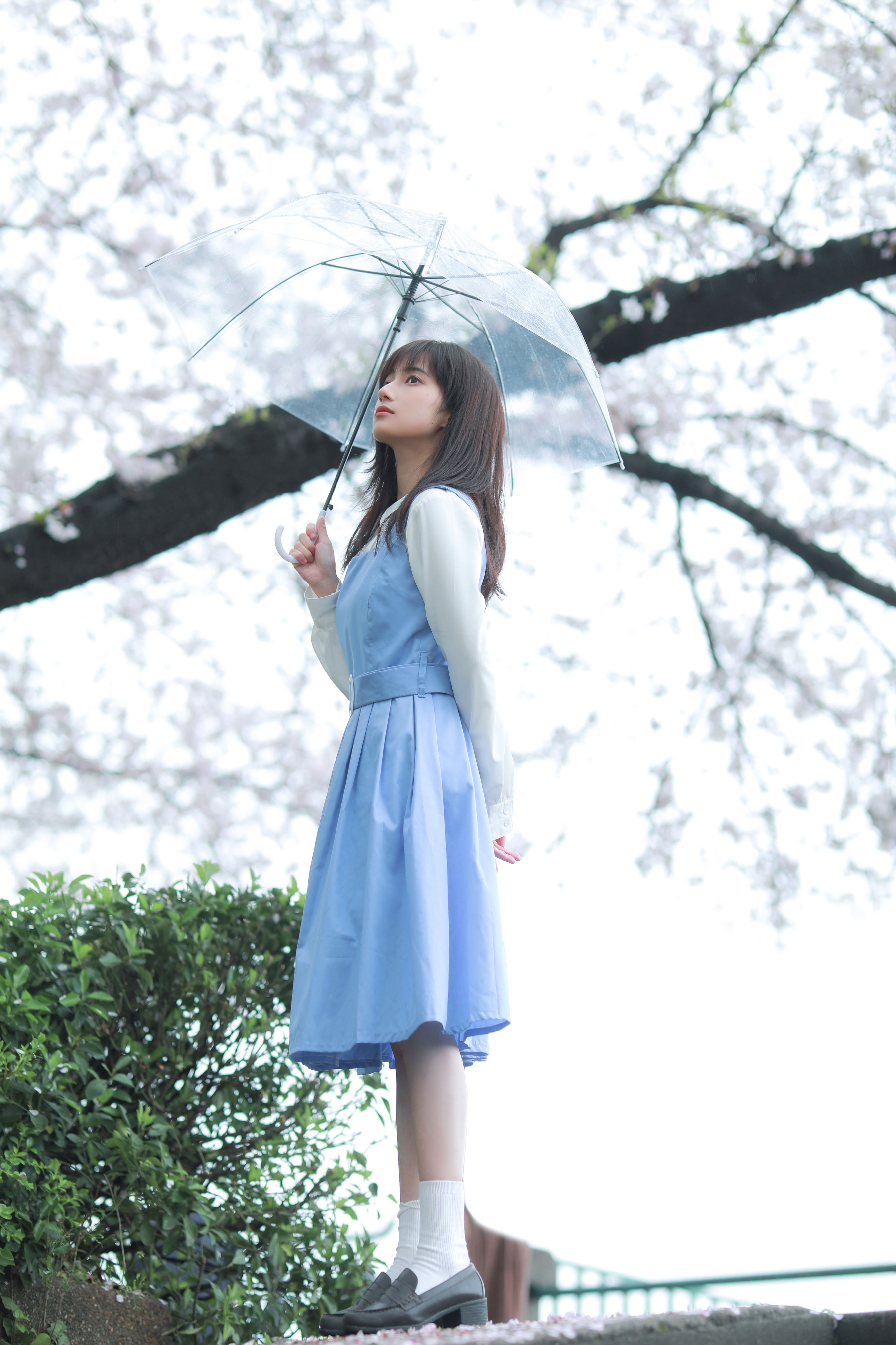 春日来信