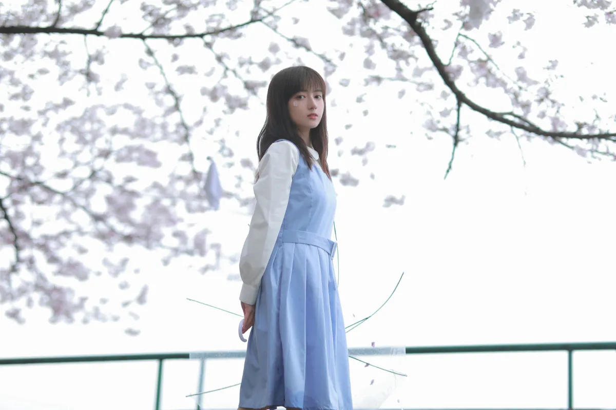 春日来信2