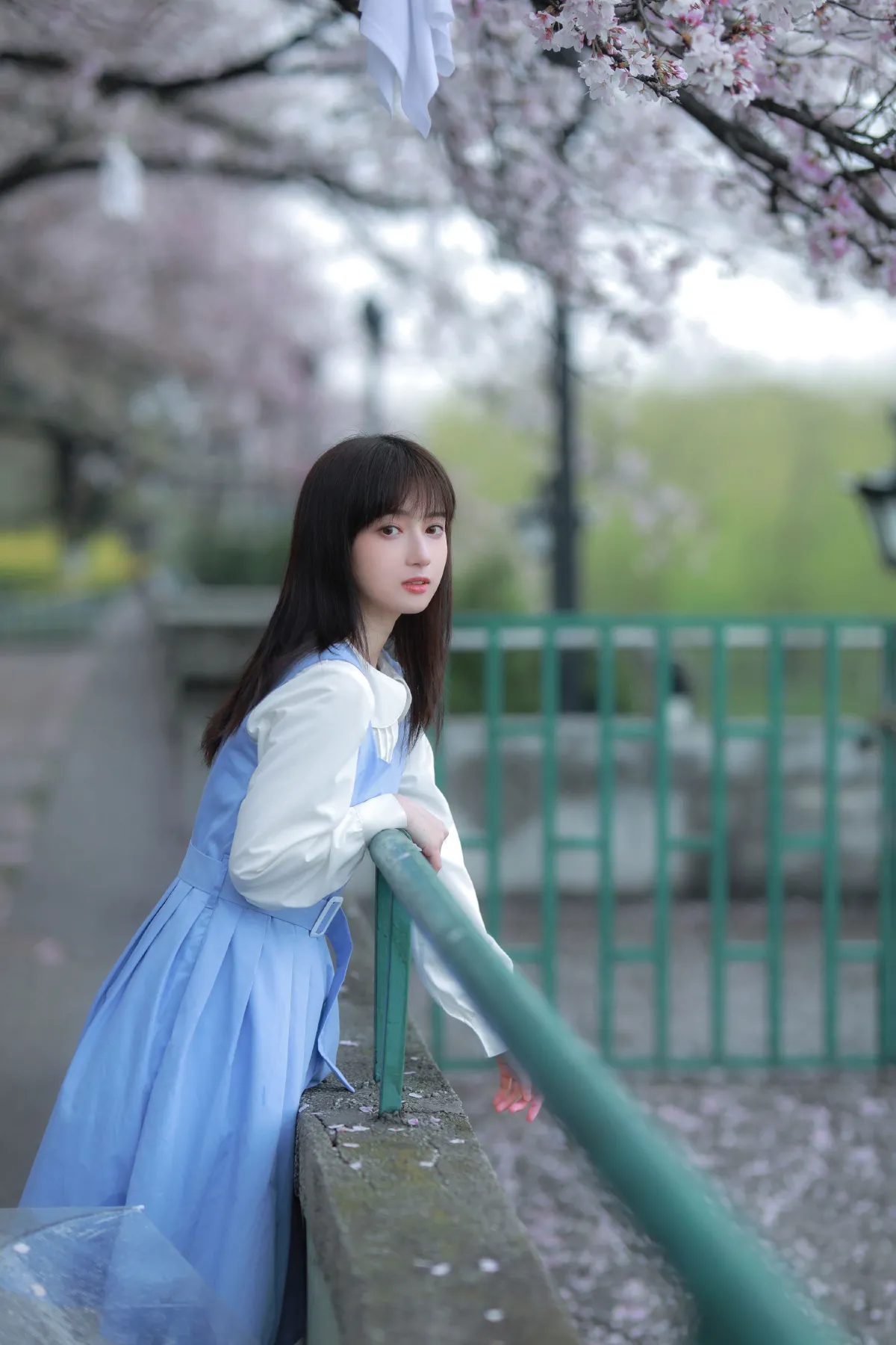 春日来信