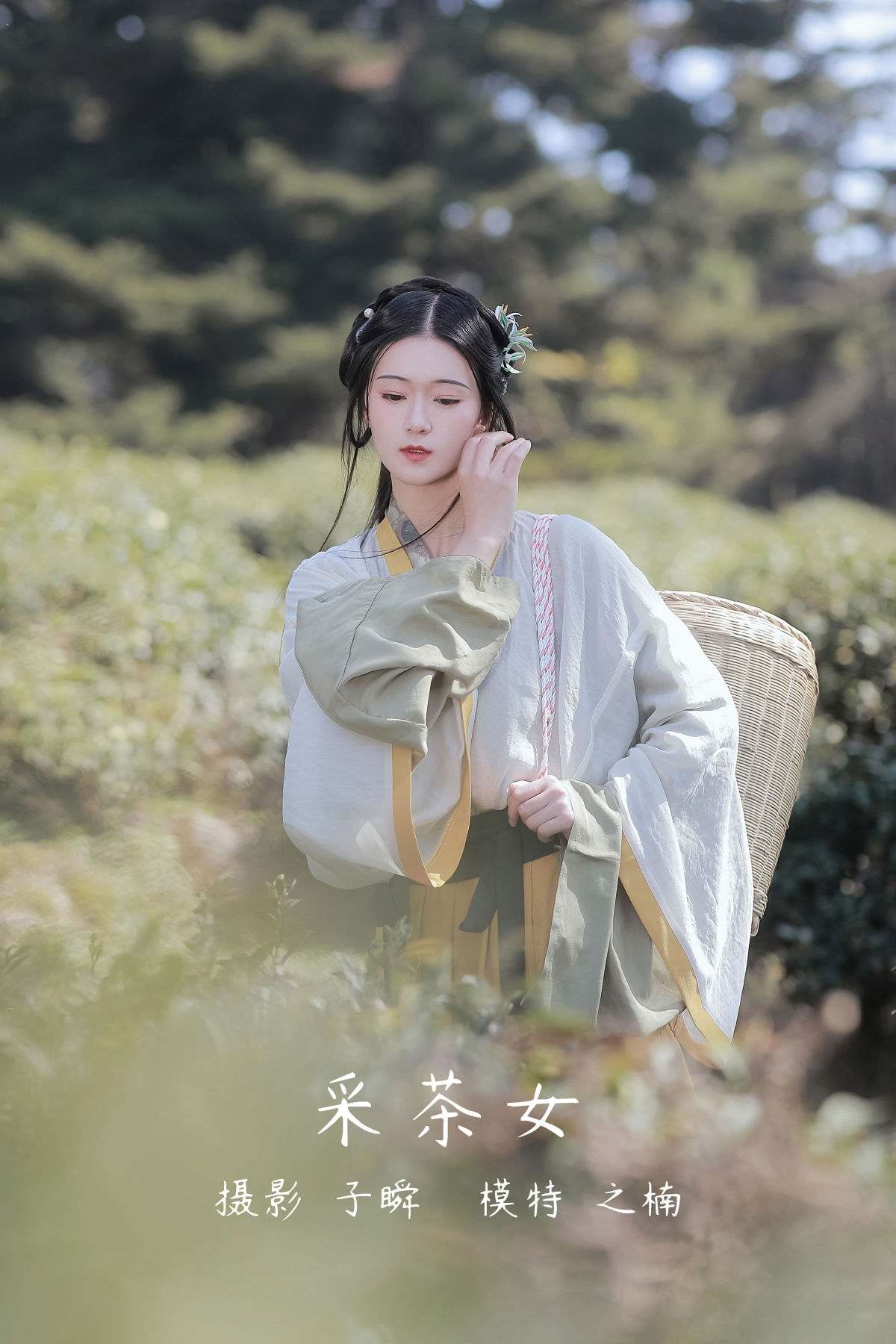 子瞬_之楠楠楠《采茶女》美图作品图片1