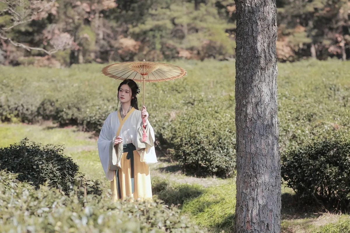 采茶女