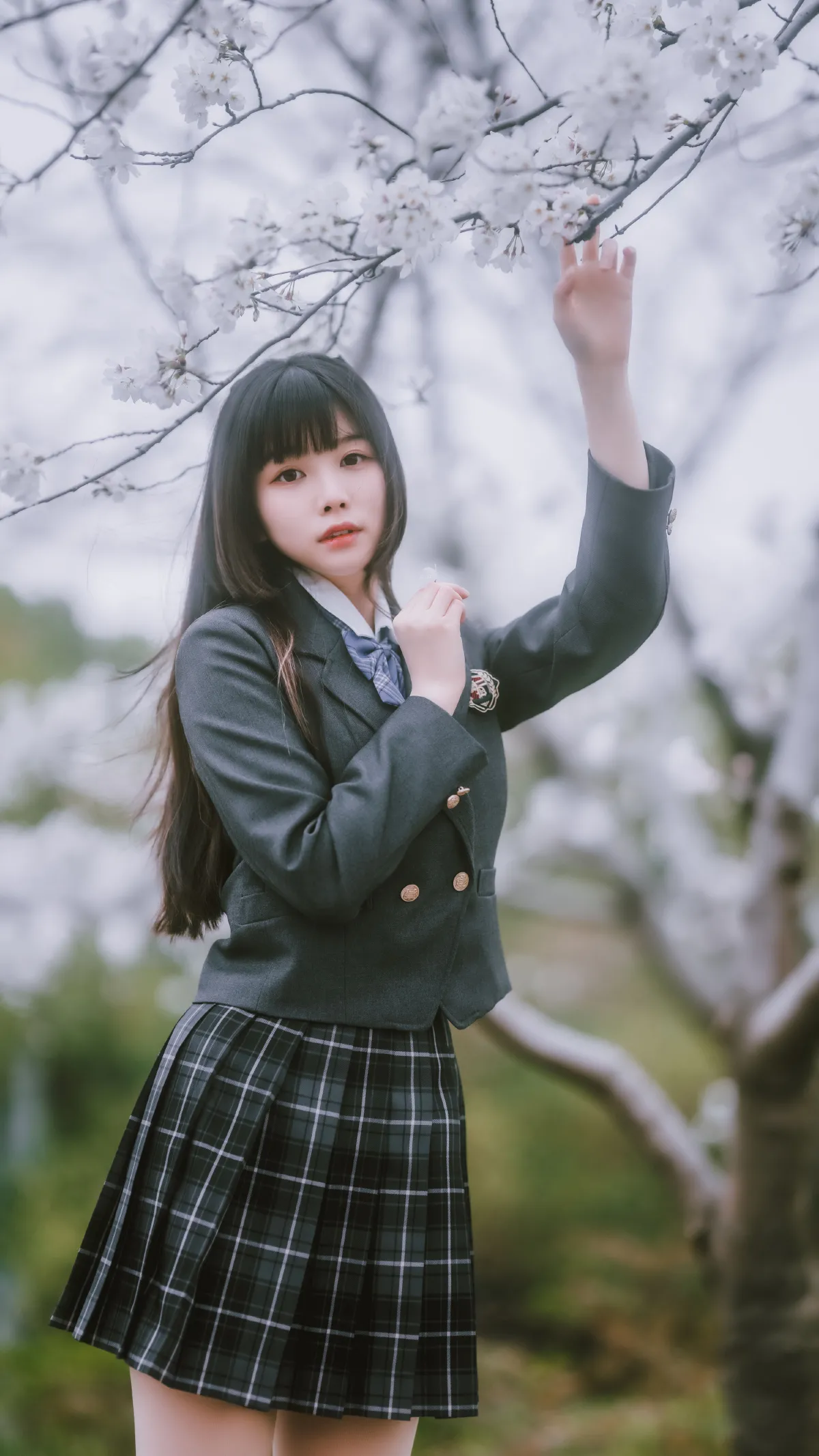 春日限定1