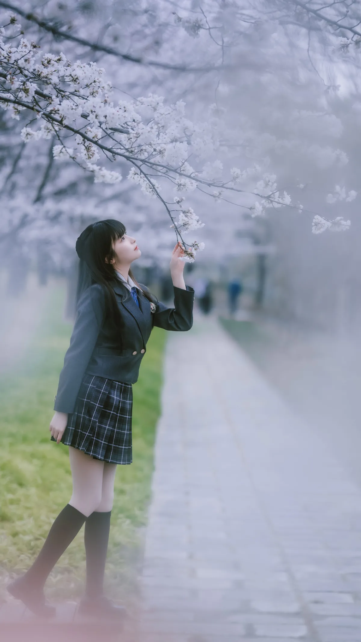 春日限定