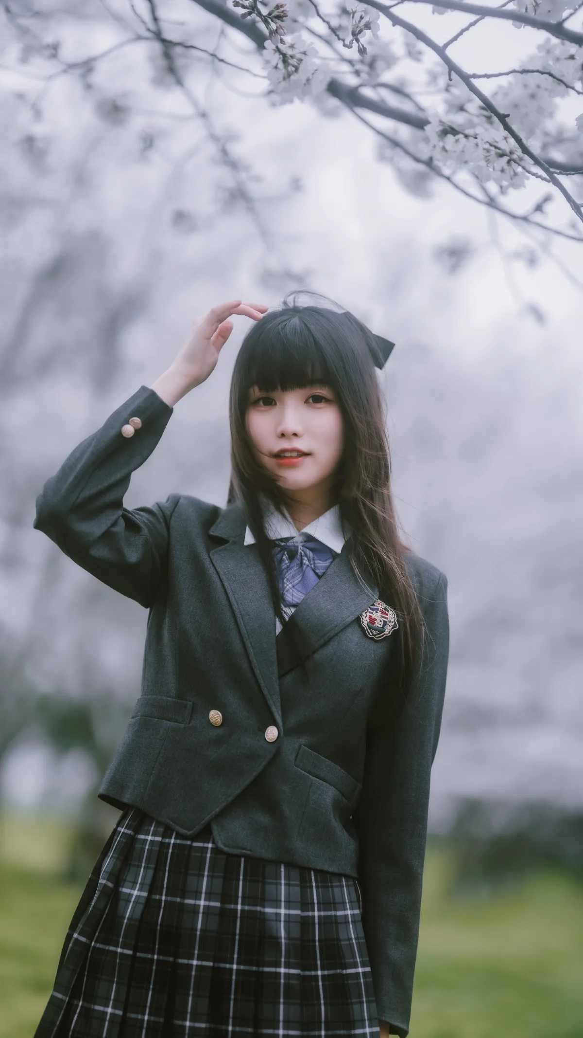 春日限定