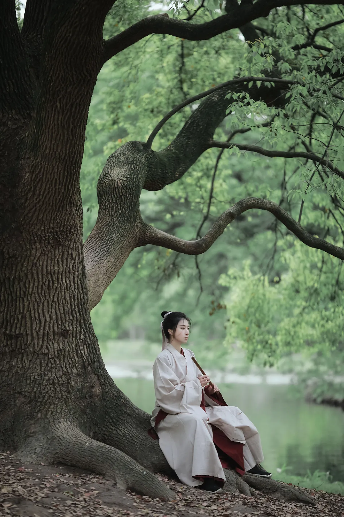 山居隐士3