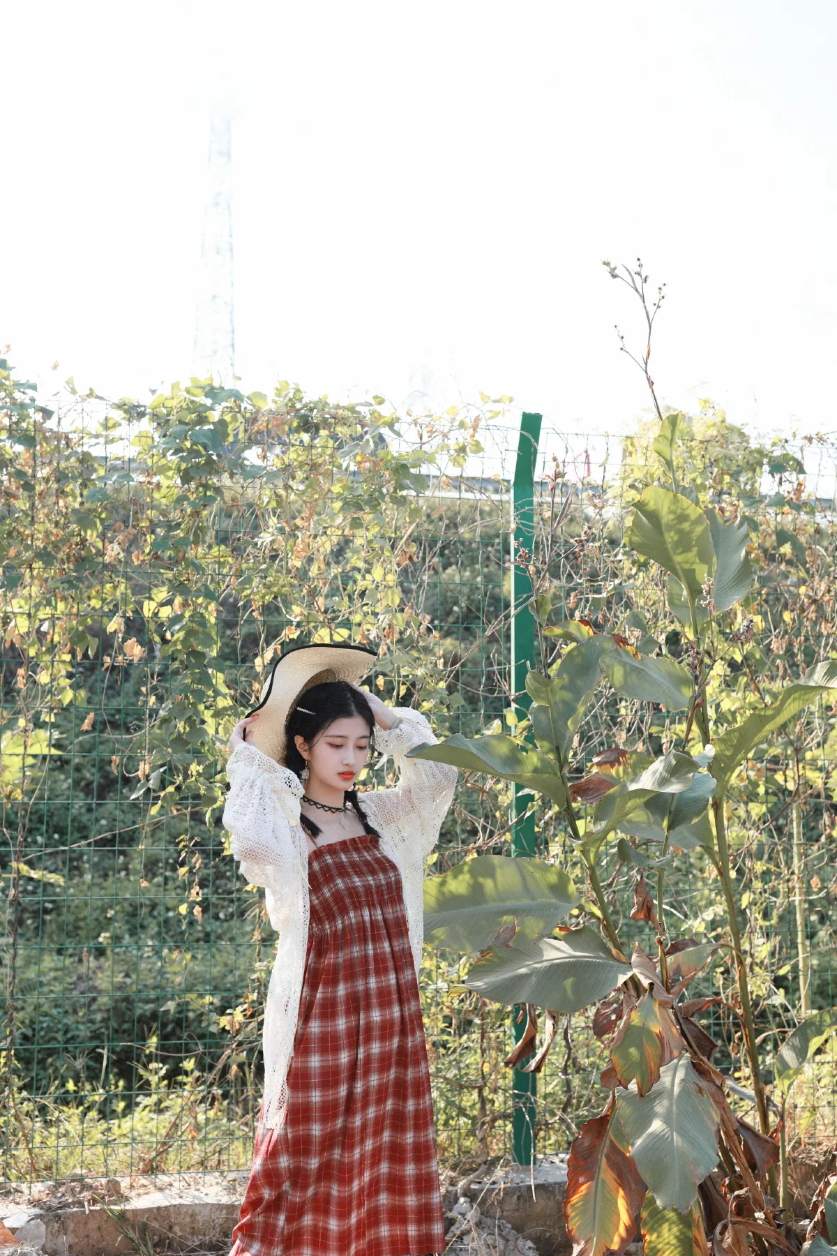 听闻远方有你2