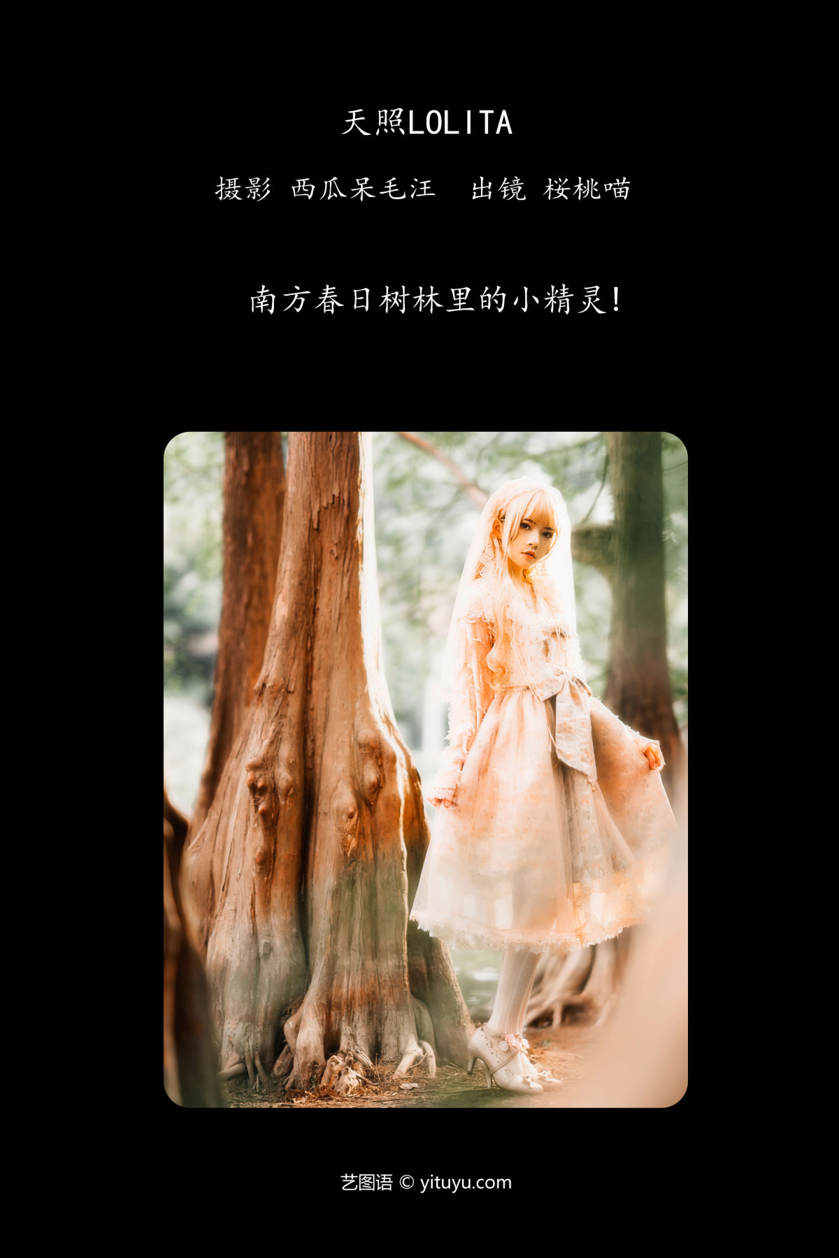 西瓜呆毛汪_桜桃喵《天照LOLITA》美图作品图片2