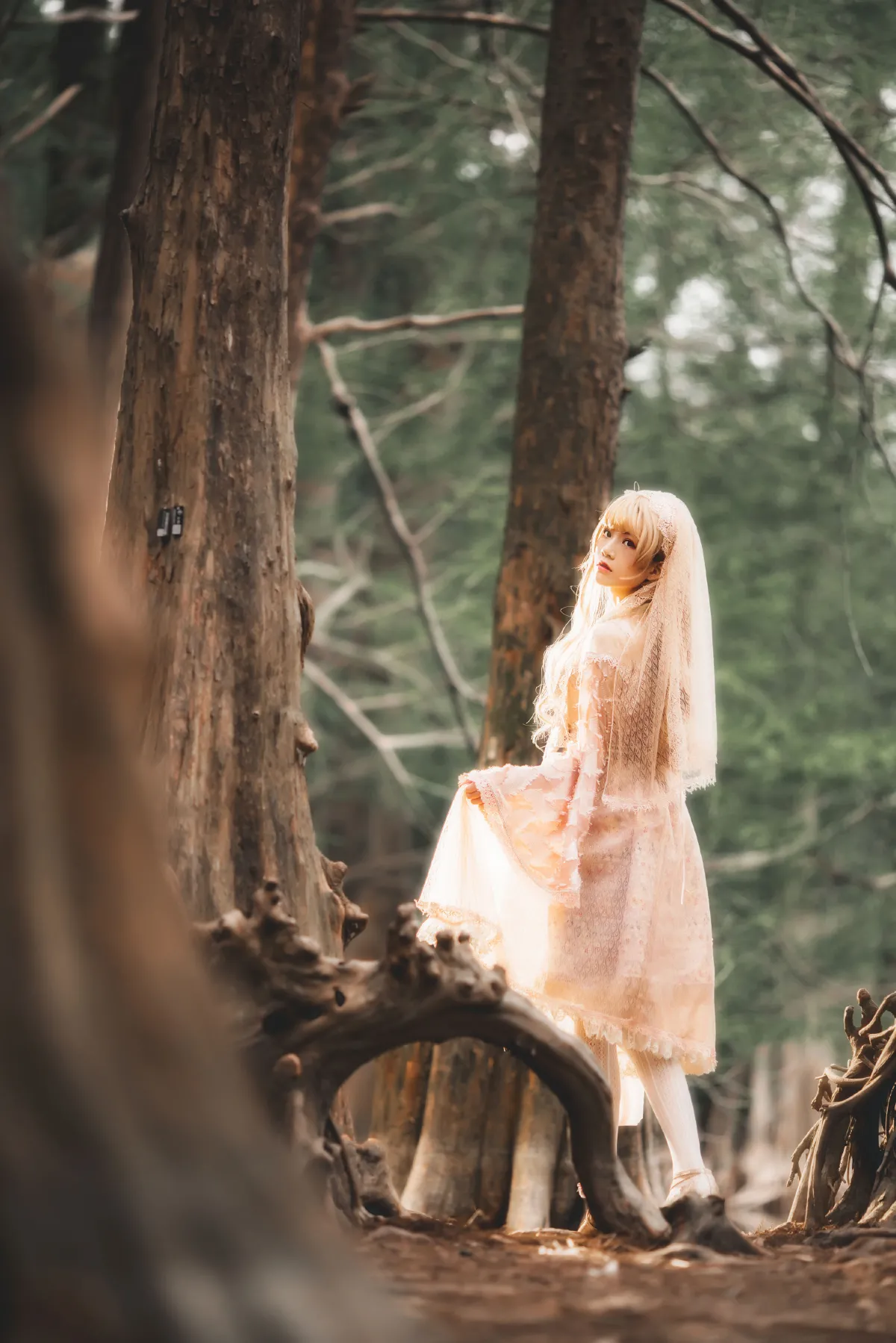 天照LOLITA