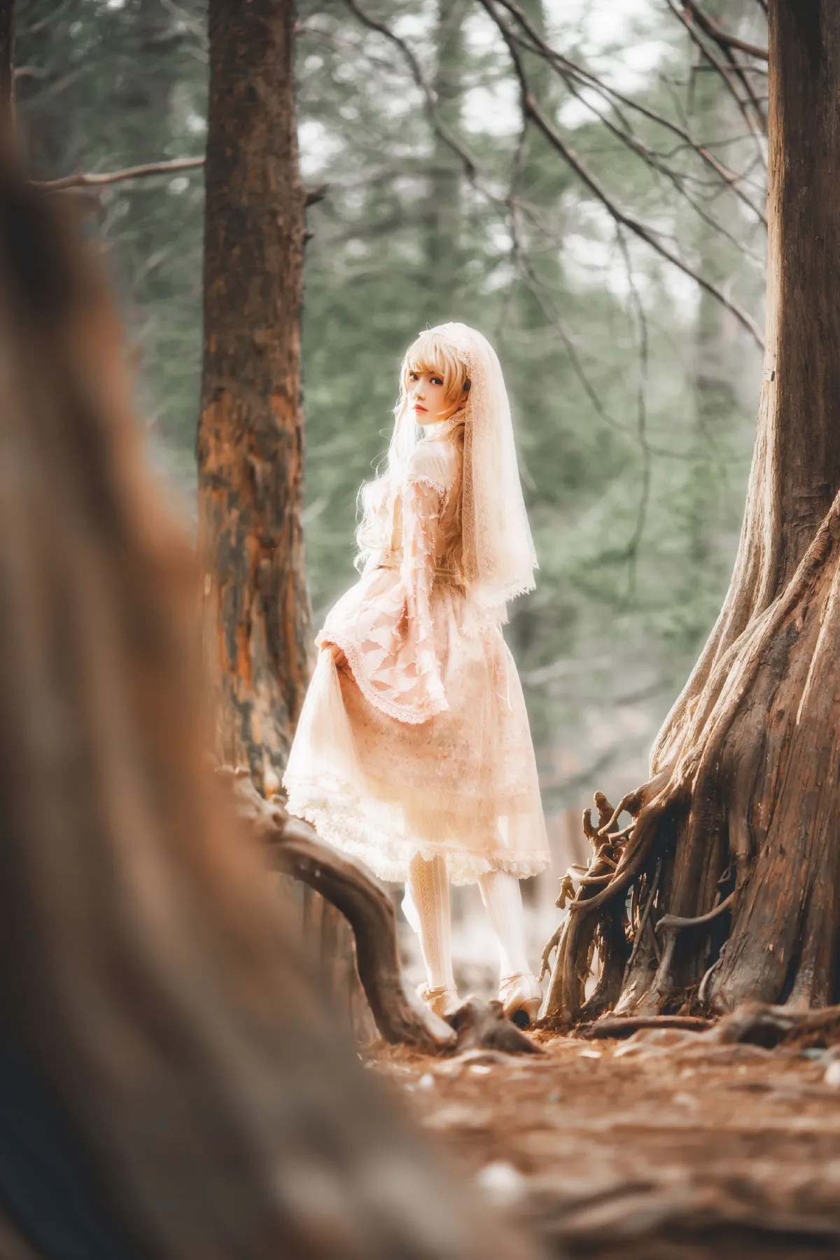 天照LOLITA