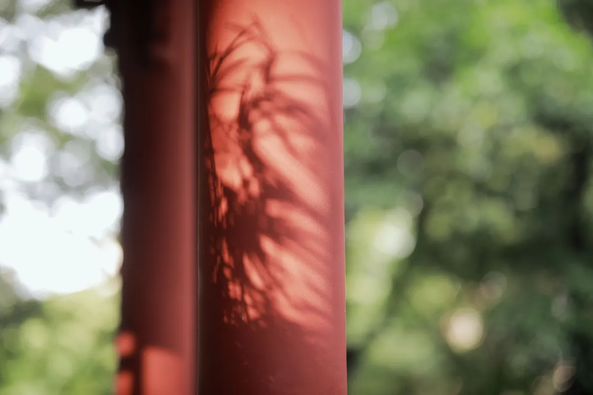 山居煎茶