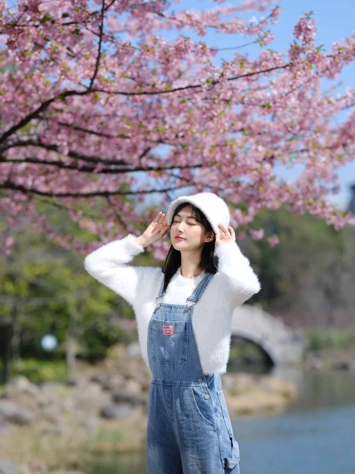 早樱1