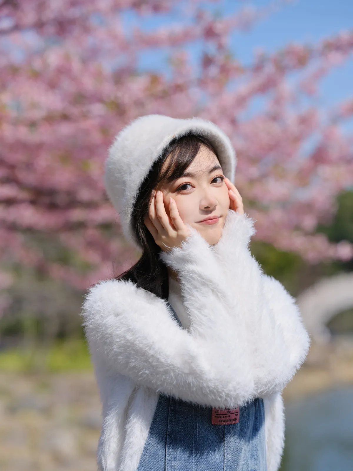 早樱2