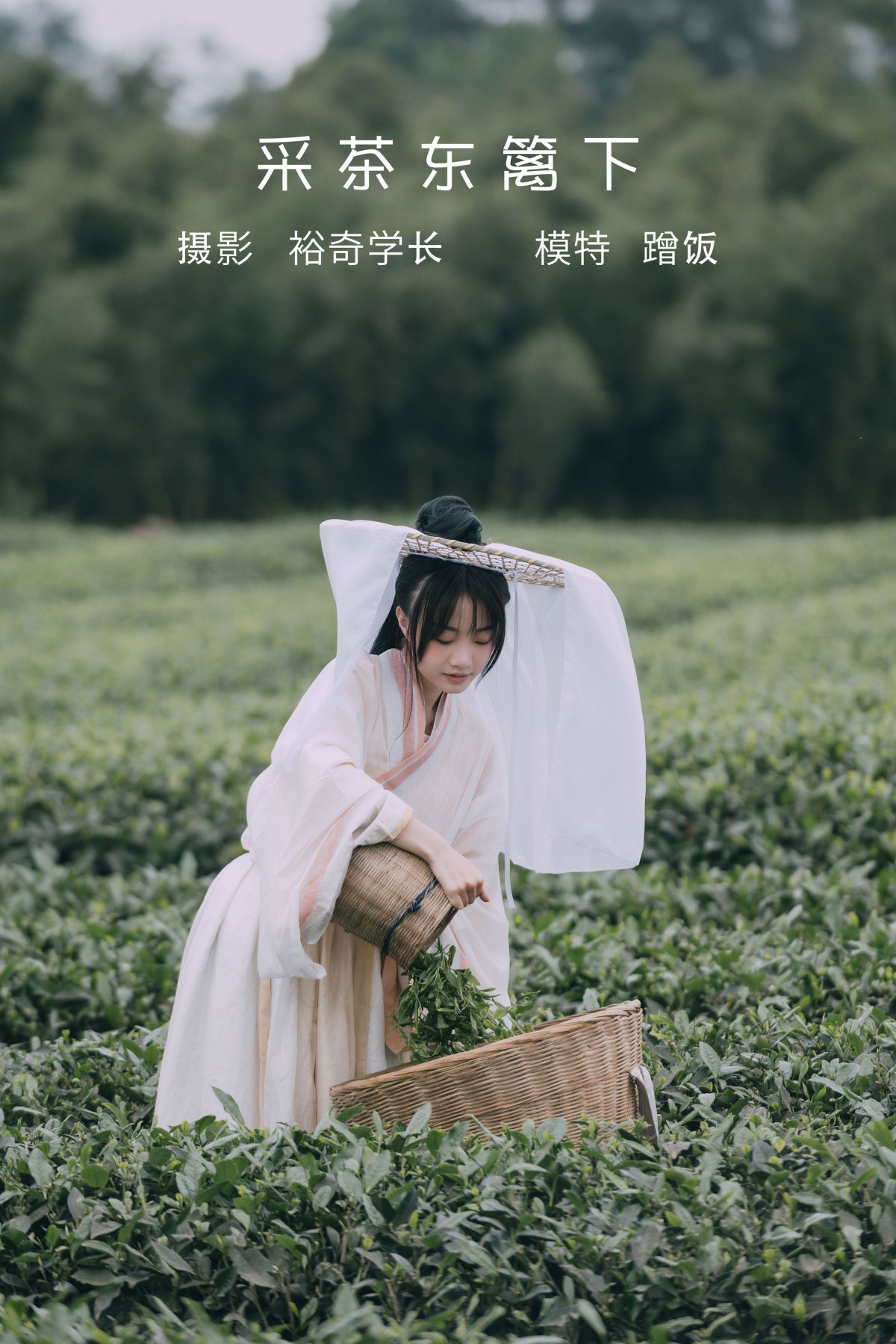 裕奇学长_蹭饭《采茶东篱下》美图作品图片1