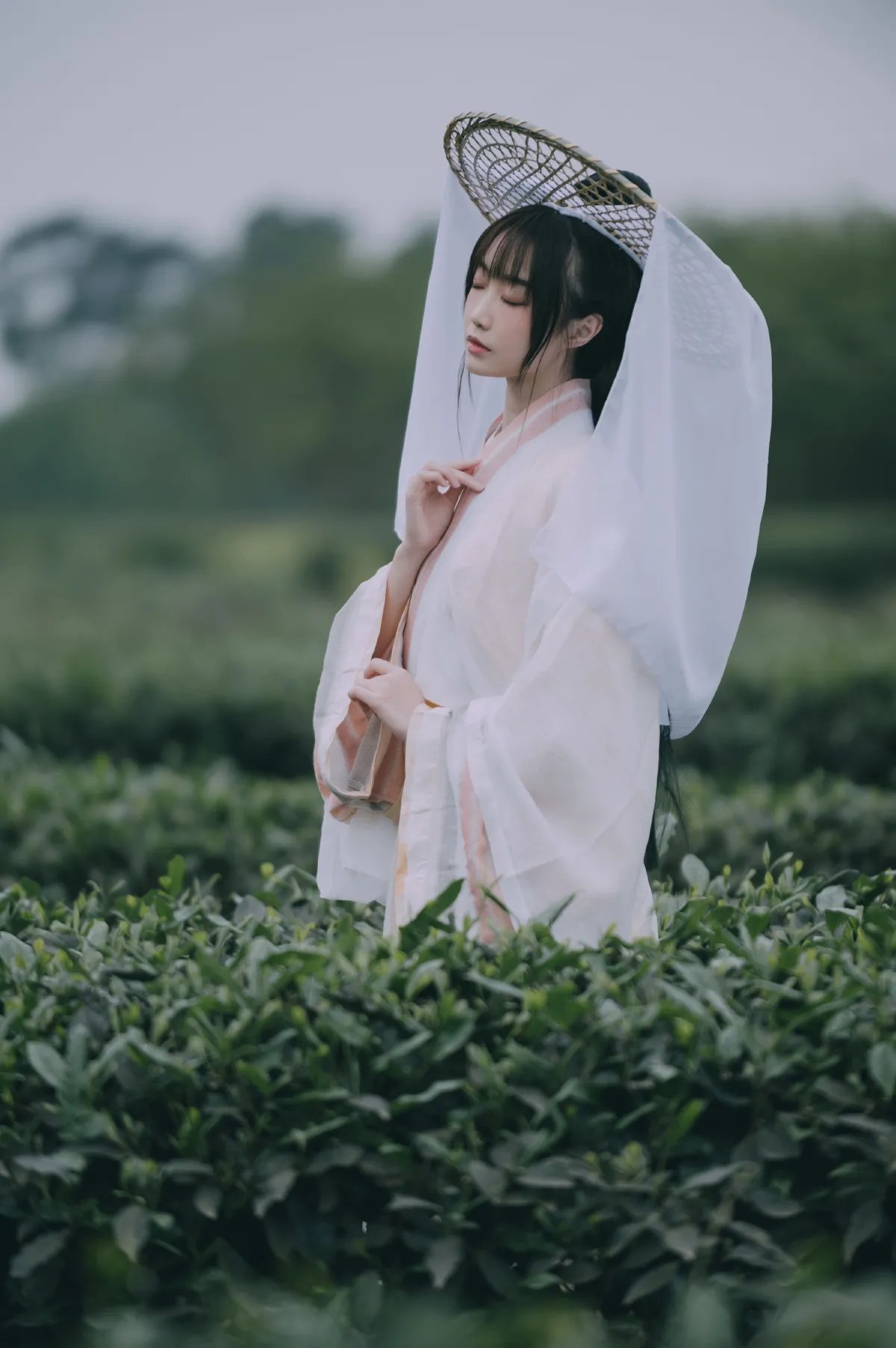 采茶东篱下