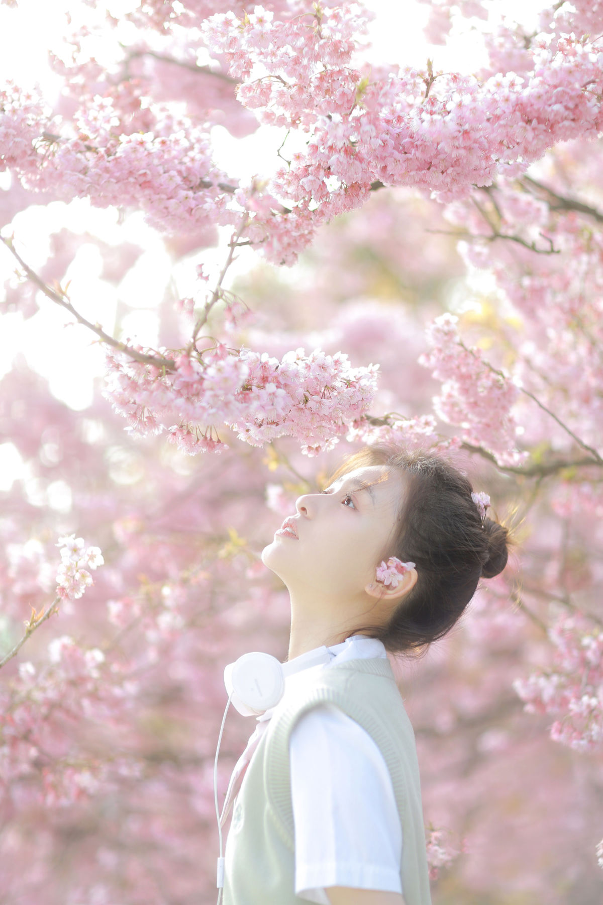 三园猫_瑞秋的快乐人生《樱花下的春日心动》美图作品图片3