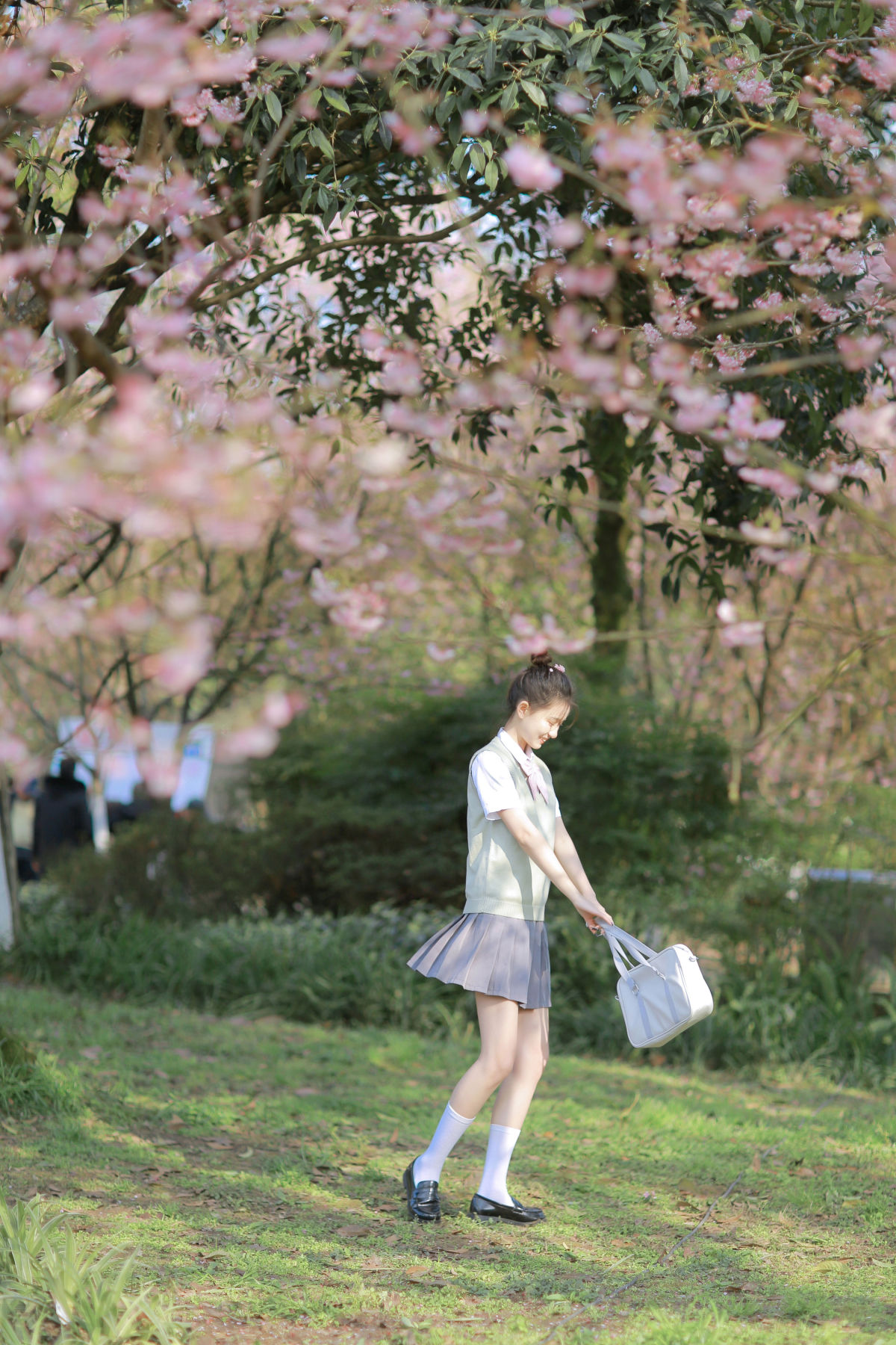 三园猫_瑞秋的快乐人生《樱花下的春日心动》美图作品图片5