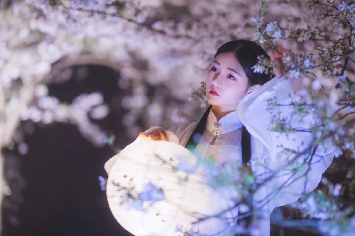梦遣看花人