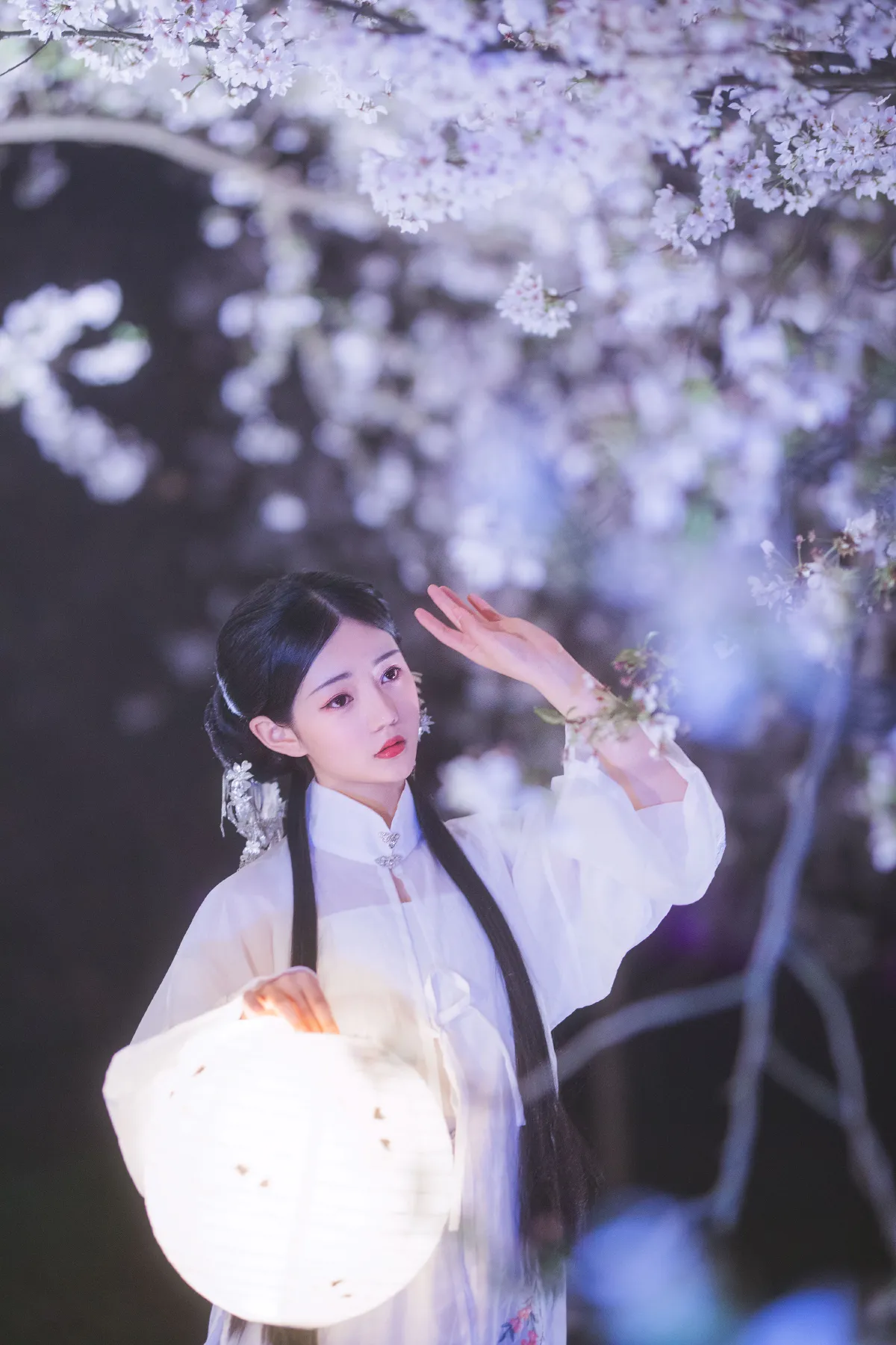 梦遣看花人