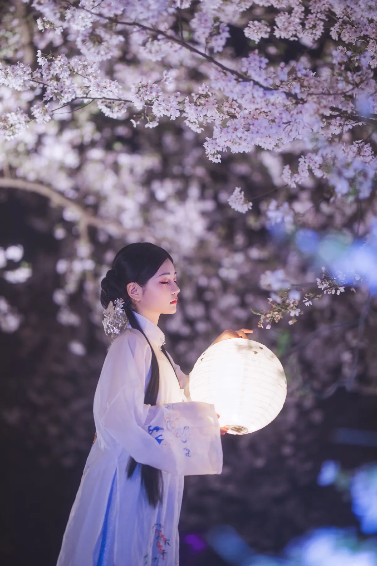梦遣看花人