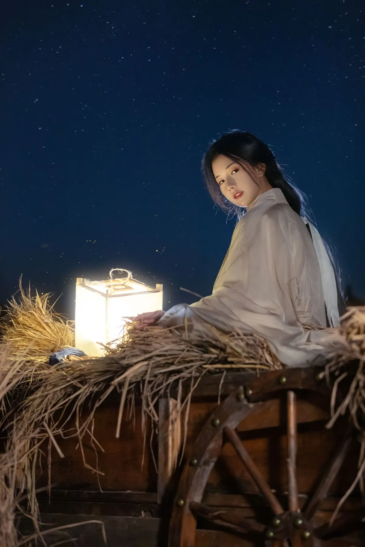 明月皎夜光
