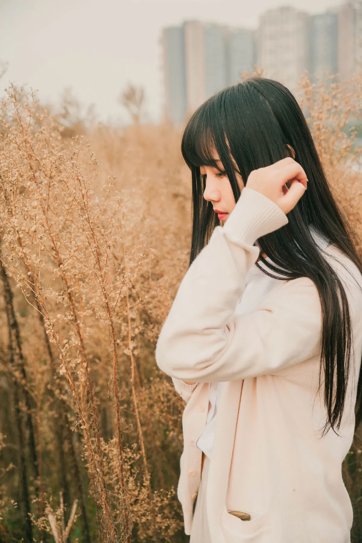 秋实5