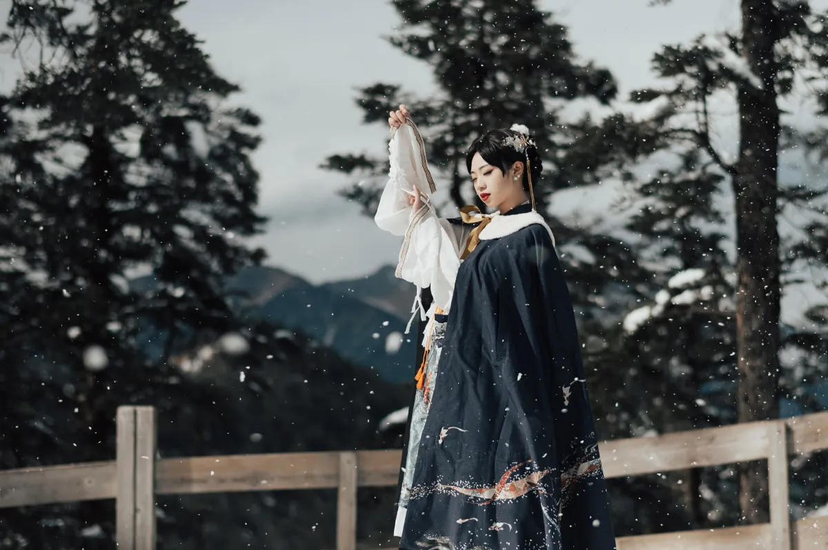 南山雪1