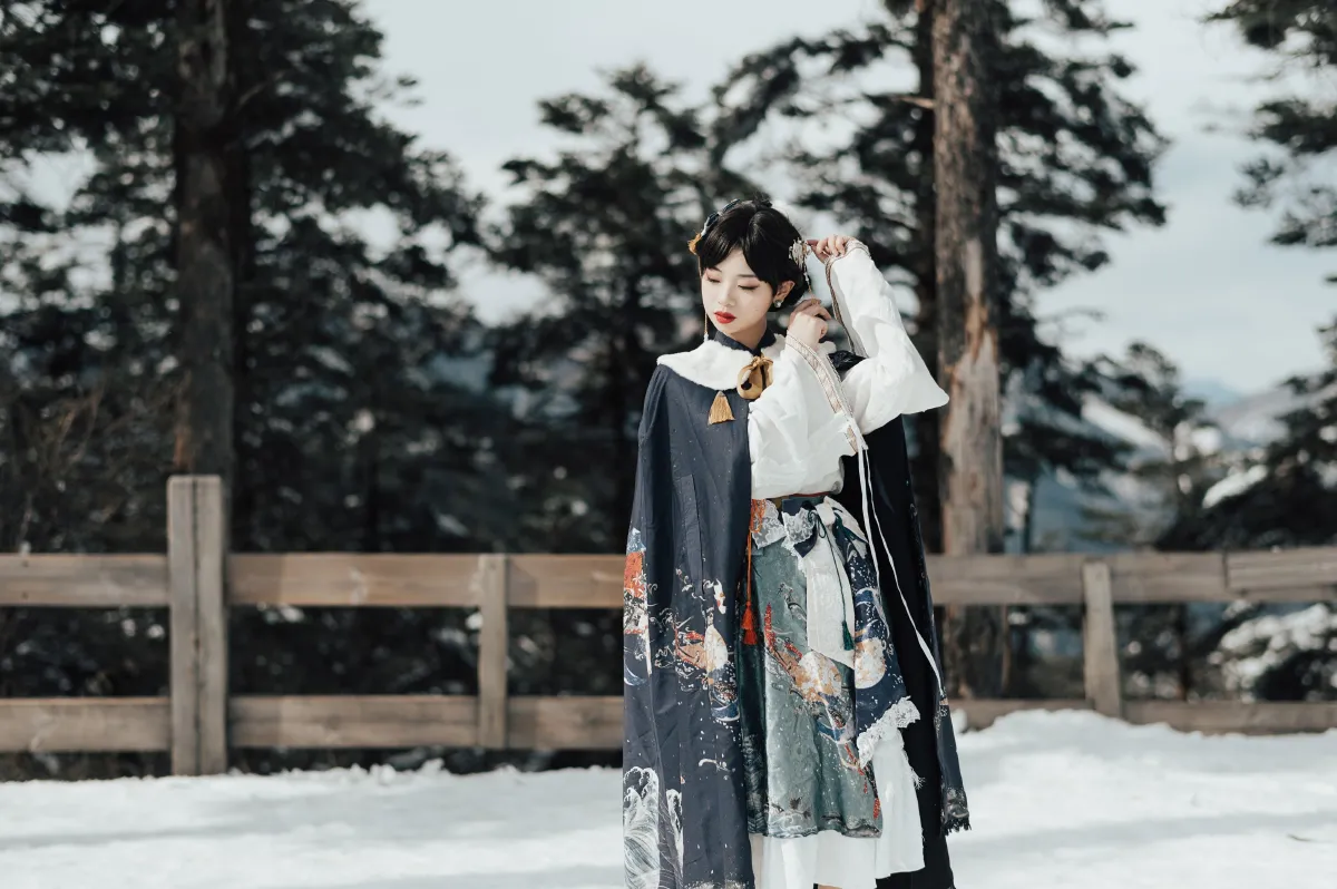 南山雪2