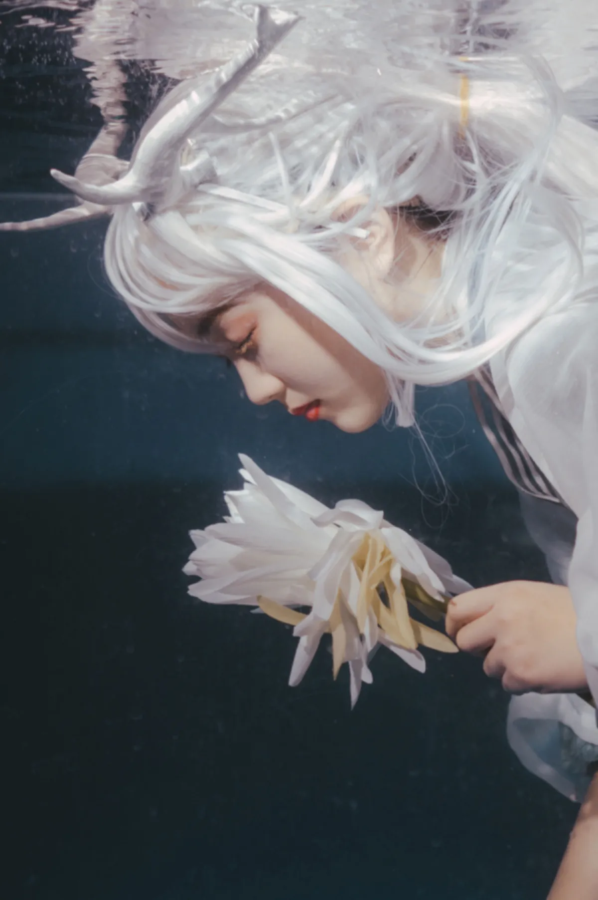 岚泽一梦