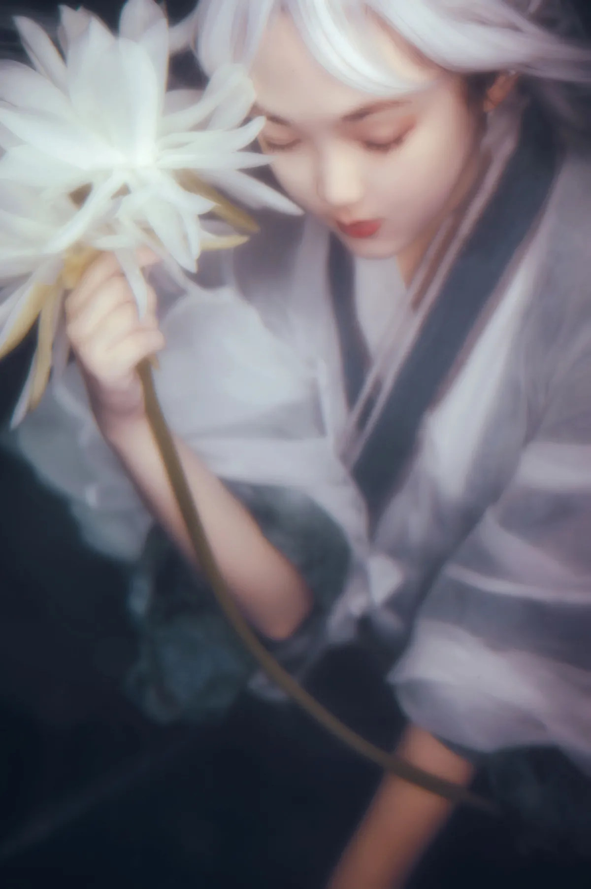 岚泽一梦