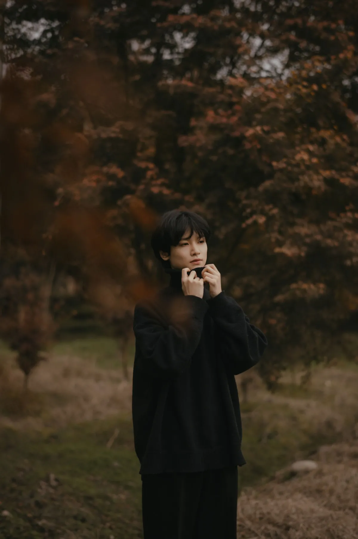 秋语
