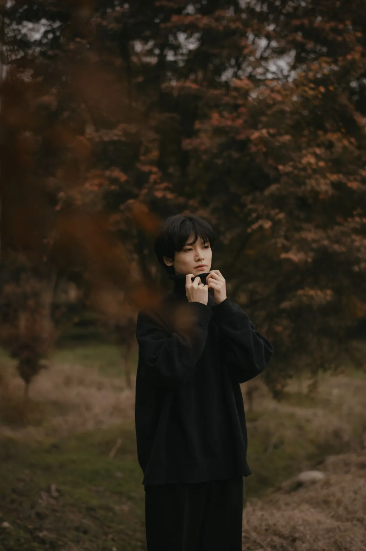 秋语1