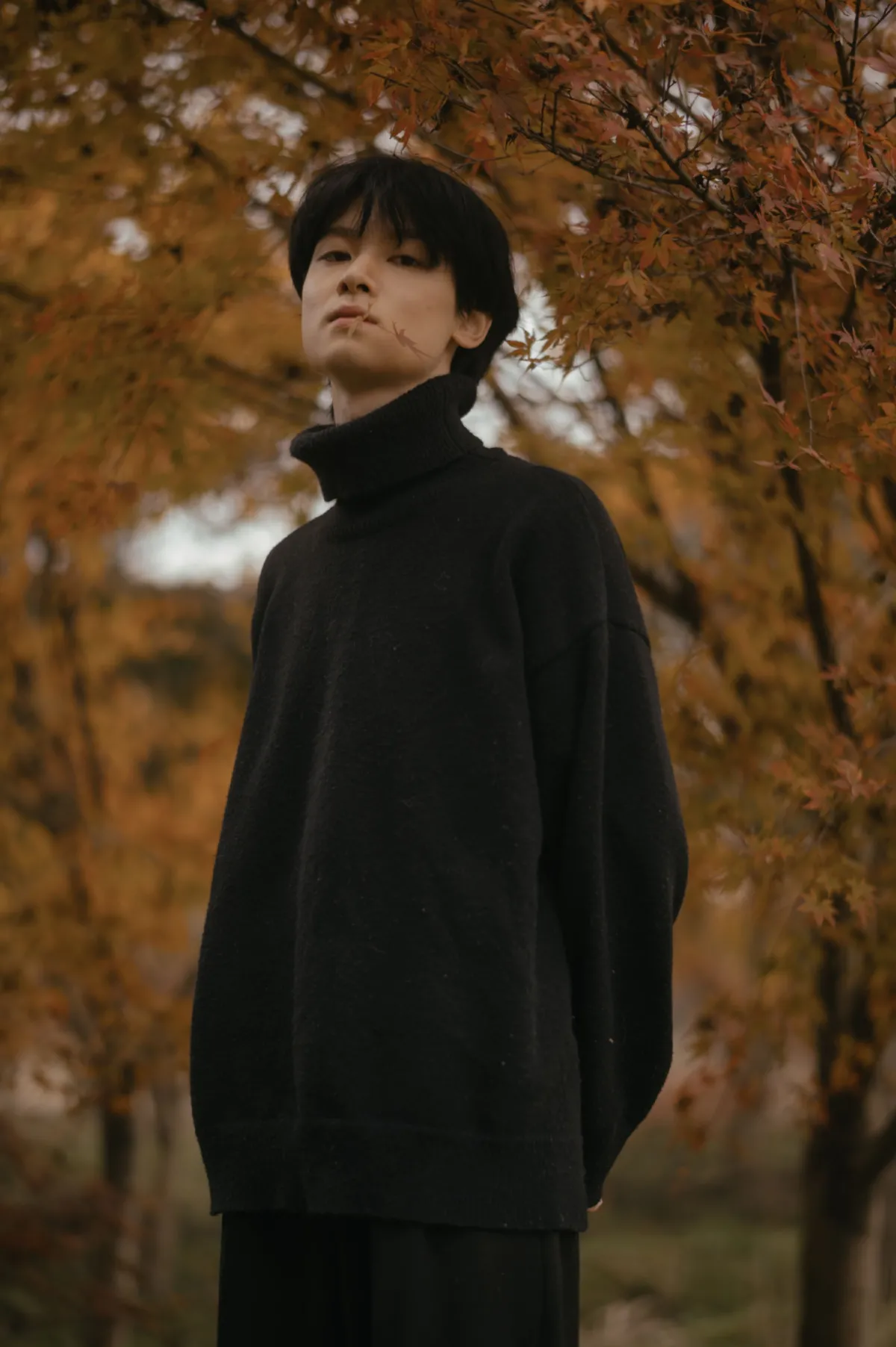 秋语2